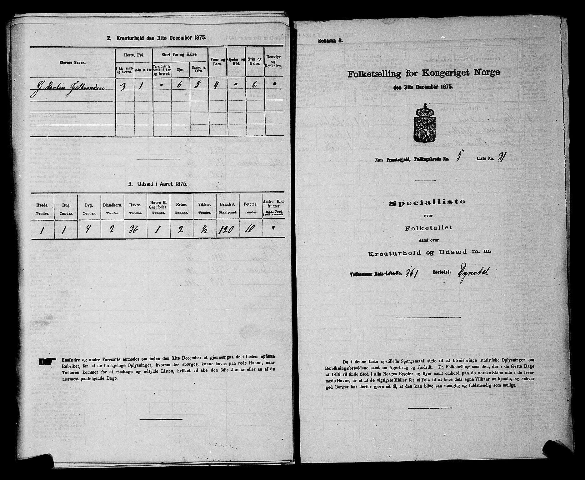 RA, Folketelling 1875 for 0236P Nes prestegjeld, 1875, s. 882