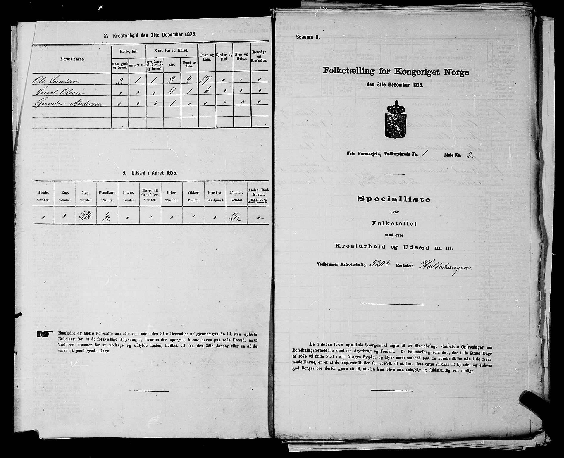 SAKO, Folketelling 1875 for 0620P Hol prestegjeld, 1875, s. 37