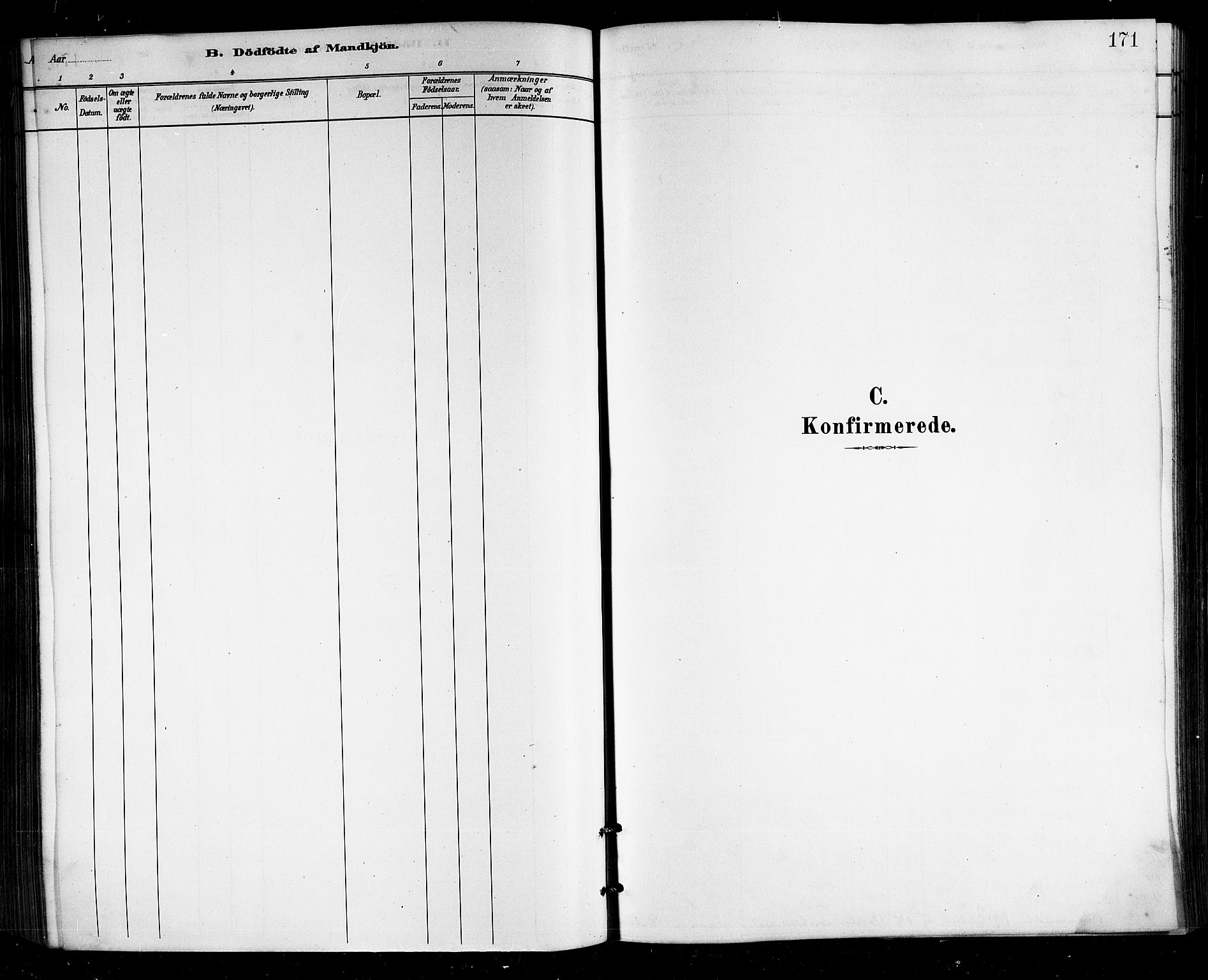 Ministerialprotokoller, klokkerbøker og fødselsregistre - Nordland, AV/SAT-A-1459/812/L0188: Klokkerbok nr. 812C06, 1884-1912, s. 171