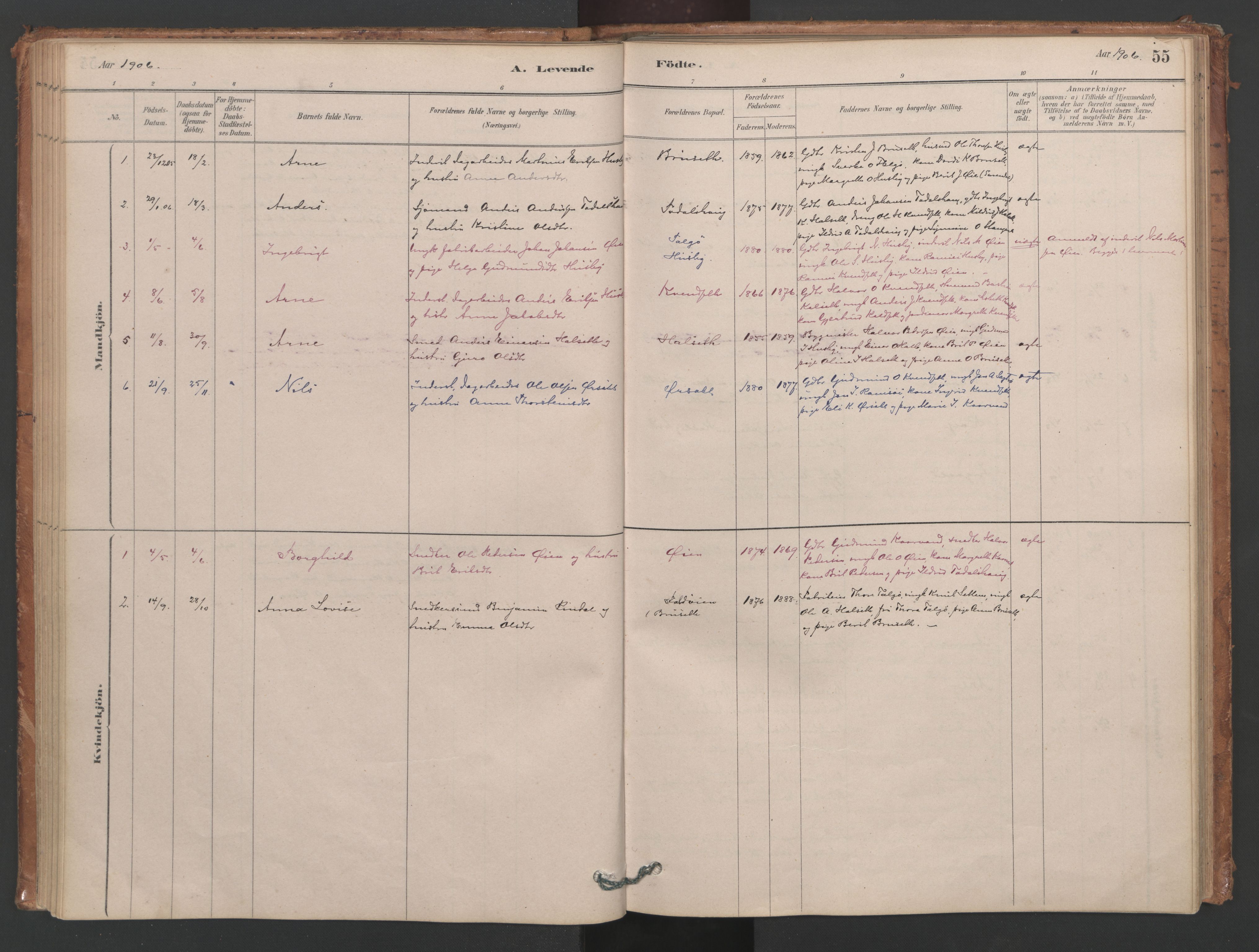 Ministerialprotokoller, klokkerbøker og fødselsregistre - Møre og Romsdal, AV/SAT-A-1454/593/L1034: Ministerialbok nr. 593A01, 1879-1911, s. 55