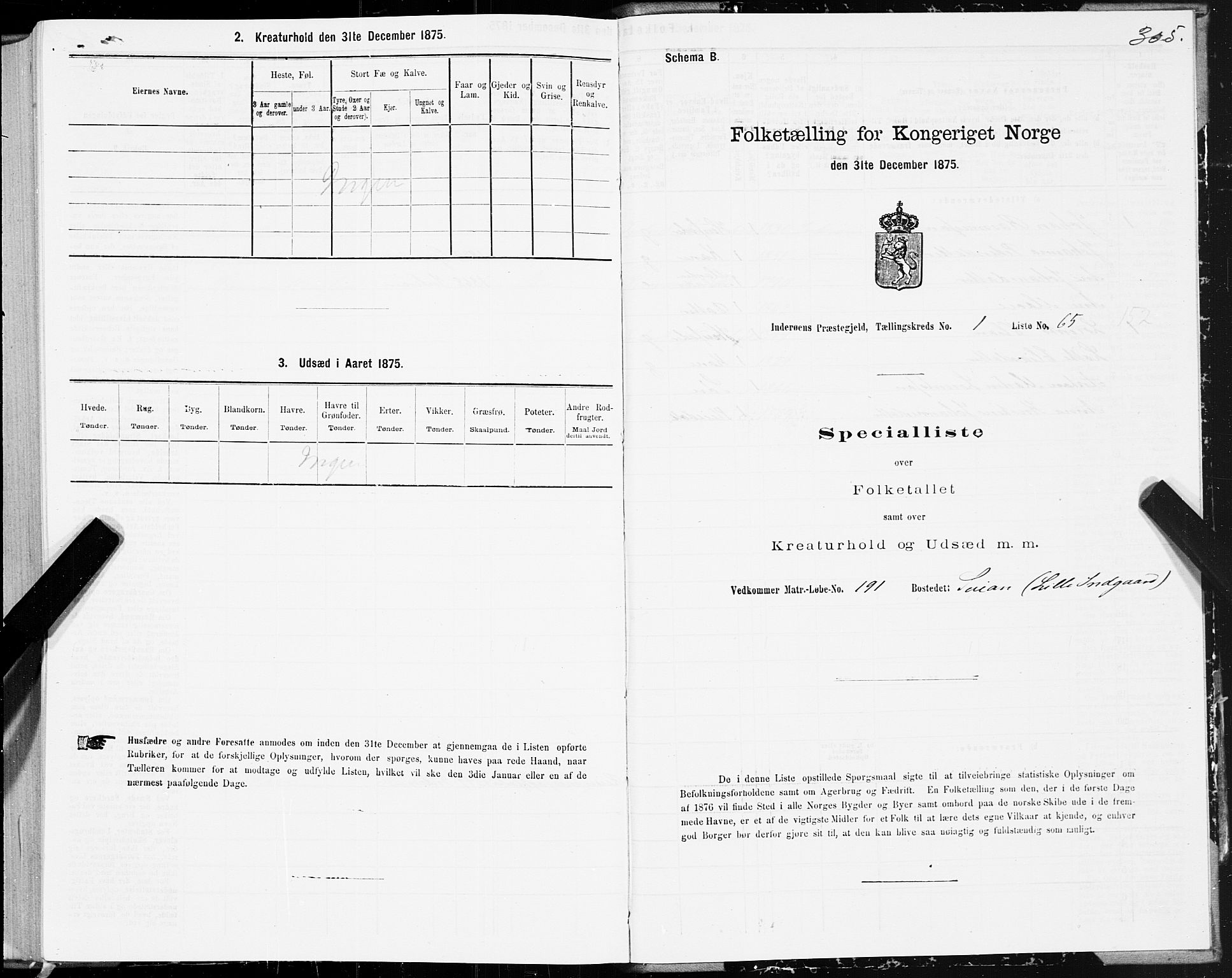 SAT, Folketelling 1875 for 1729P Inderøy prestegjeld, 1875, s. 1305