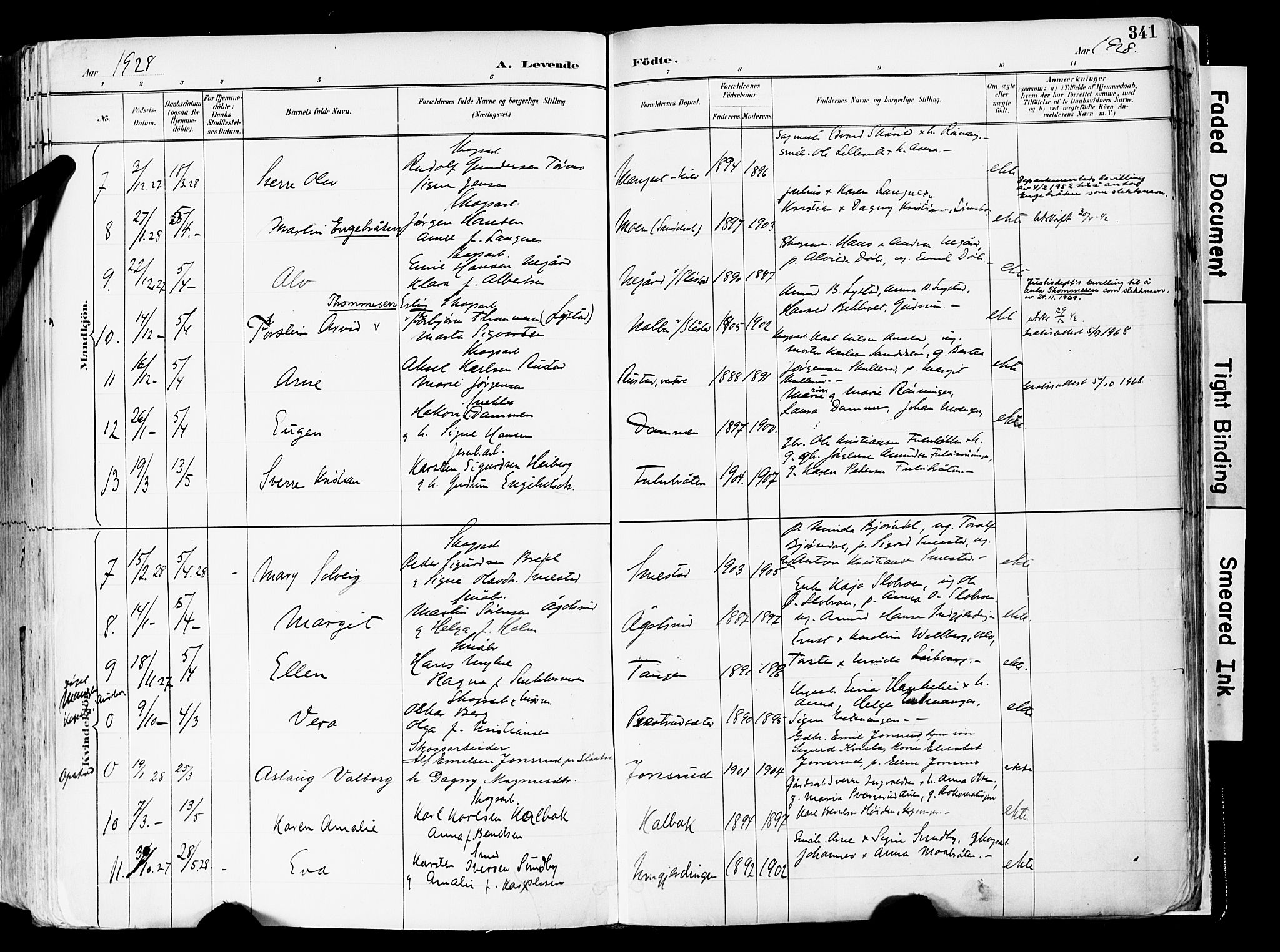 Sør-Odal prestekontor, AV/SAH-PREST-030/H/Ha/Haa/L0006: Ministerialbok nr. 6, 1886-1931, s. 341