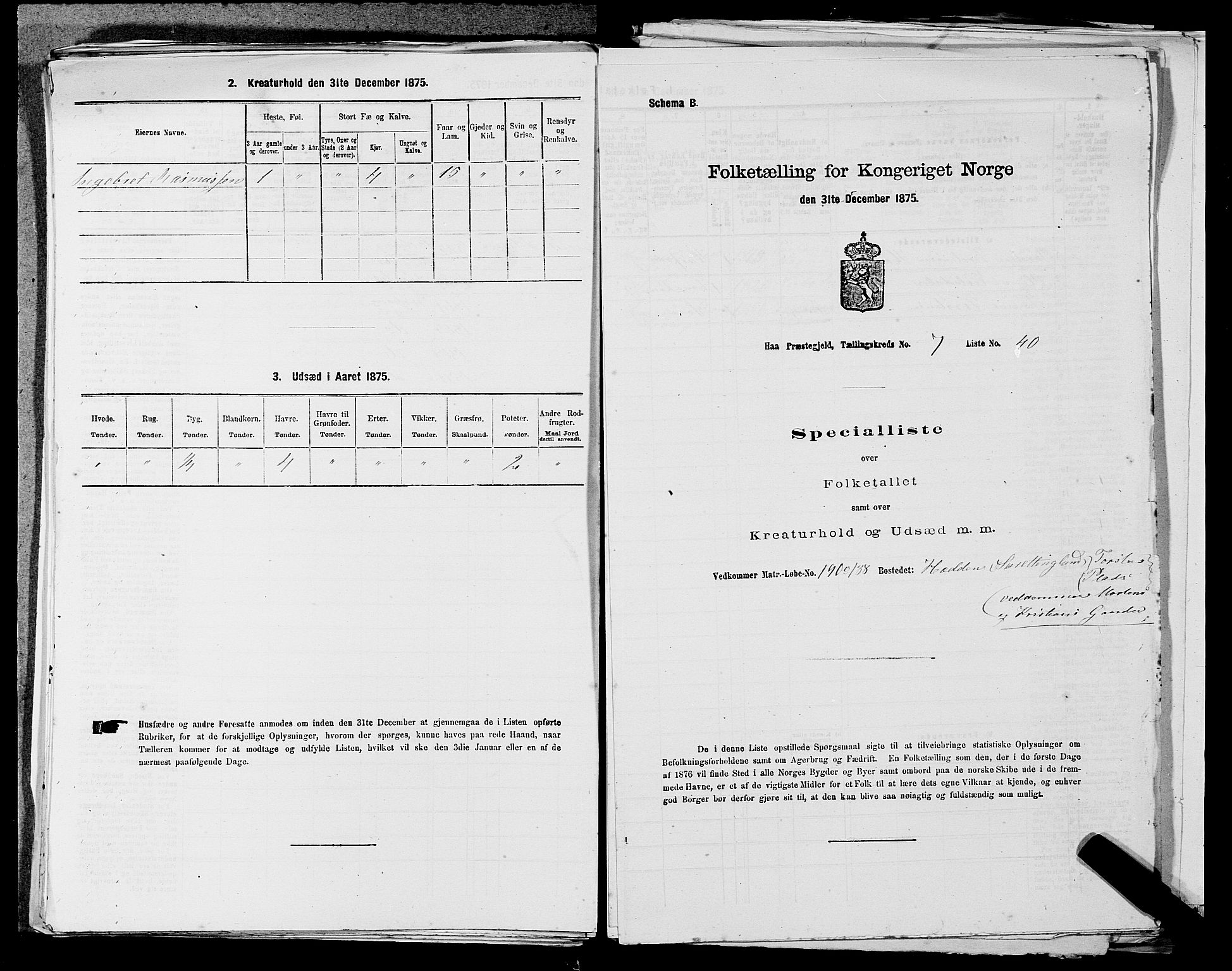 SAST, Folketelling 1875 for 1119P Hå prestegjeld, 1875, s. 805