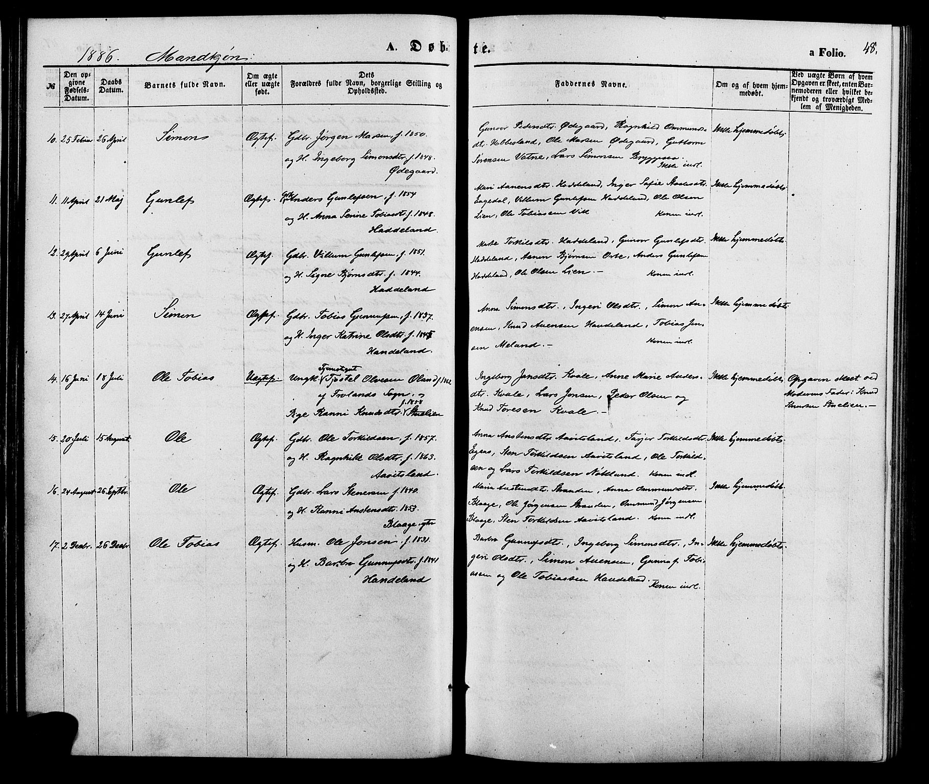 Hægebostad sokneprestkontor, AV/SAK-1111-0024/F/Fa/Fab/L0003: Ministerialbok nr. A 3, 1872-1886, s. 48