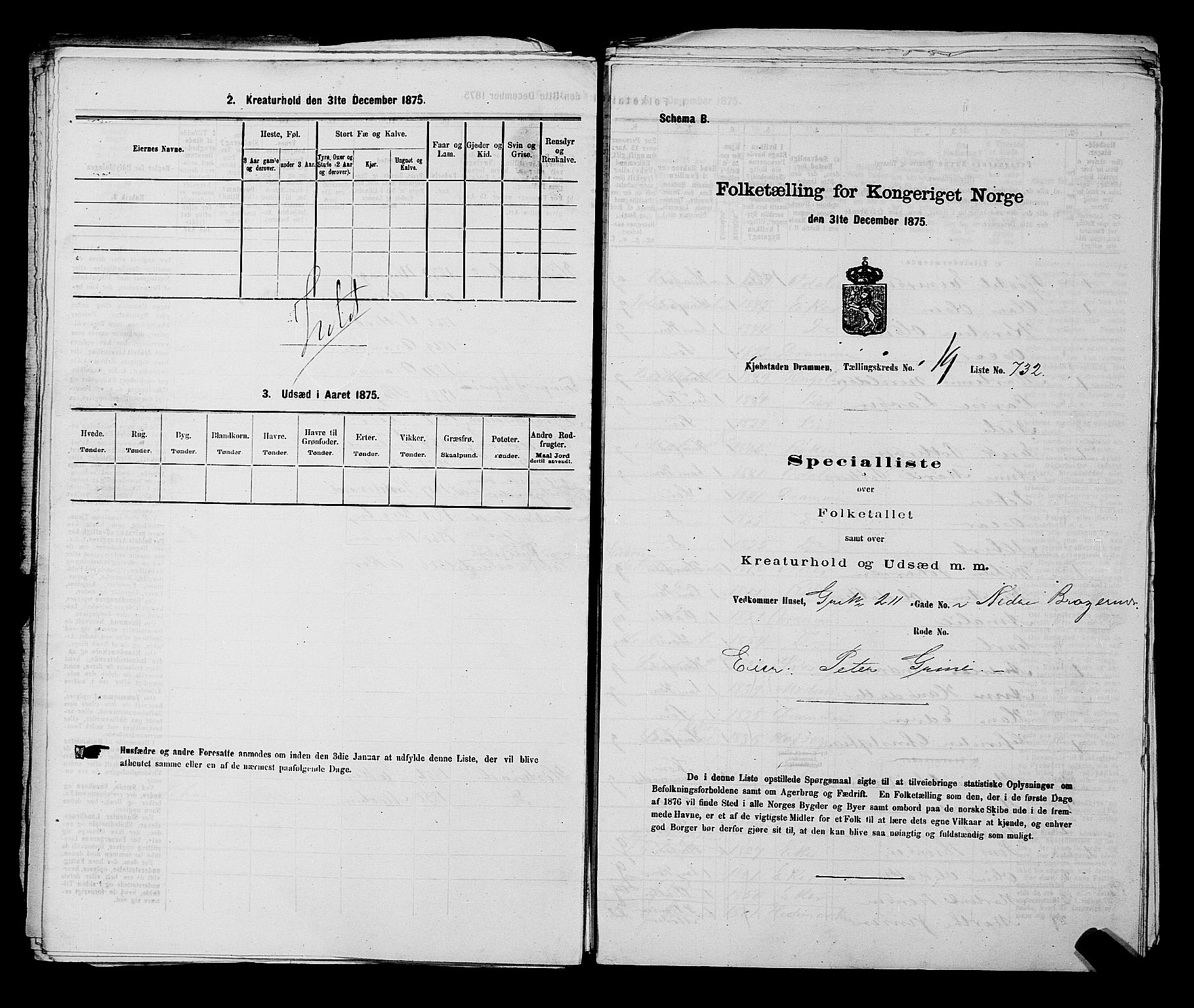 SAKO, Folketelling 1875 for 0602 Drammen kjøpstad, 1875, s. 2036