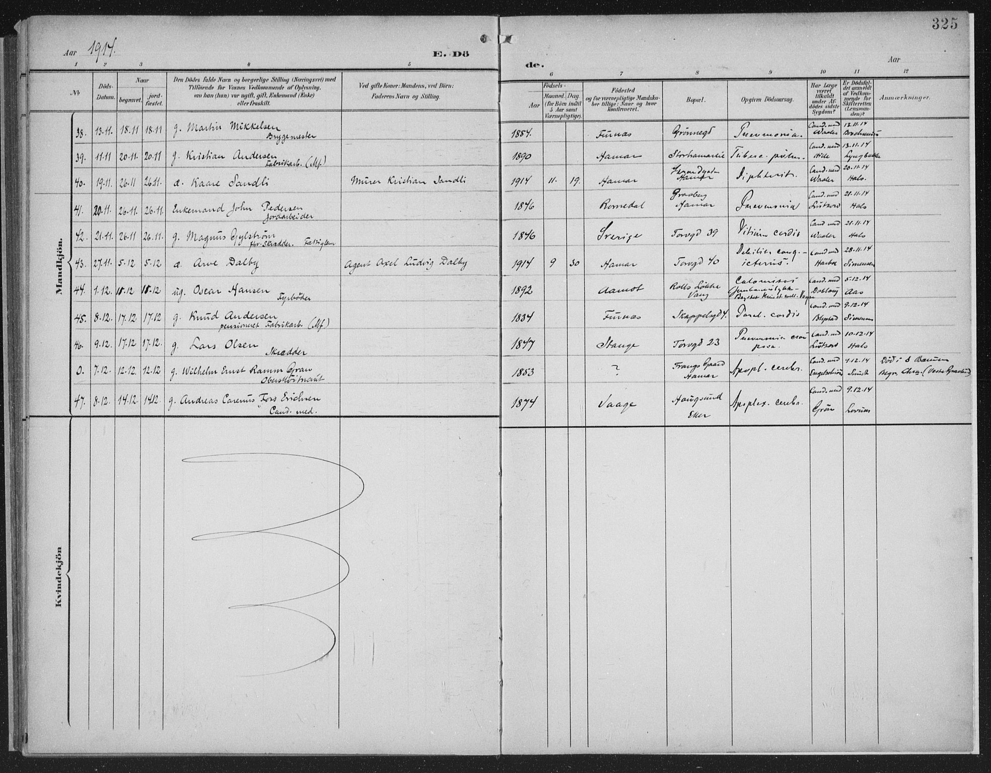 Hamar prestekontor, AV/SAH-DOMPH-002/H/Ha/Haa/L0001: Ministerialbok nr. 1, 1900-1914, s. 325