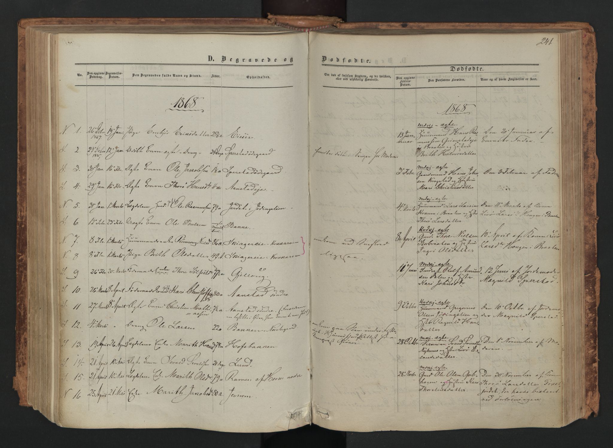 Skjåk prestekontor, AV/SAH-PREST-072/H/Ha/Haa/L0001: Ministerialbok nr. 1, 1863-1879, s. 241