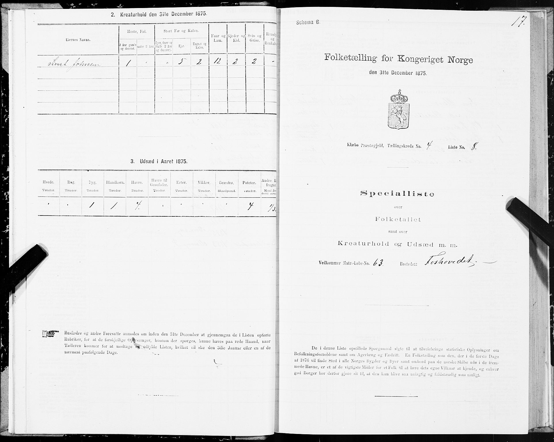 SAT, Folketelling 1875 for 1662P Klæbu prestegjeld, 1875, s. 2017