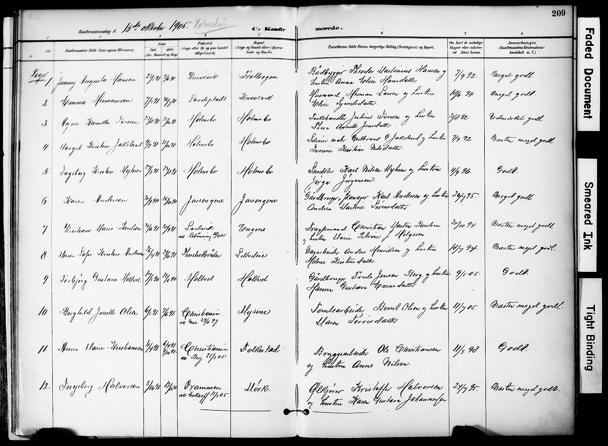 Hurum kirkebøker, AV/SAKO-A-229/F/Fa/L0015: Ministerialbok nr. 15, 1896-1908, s. 209