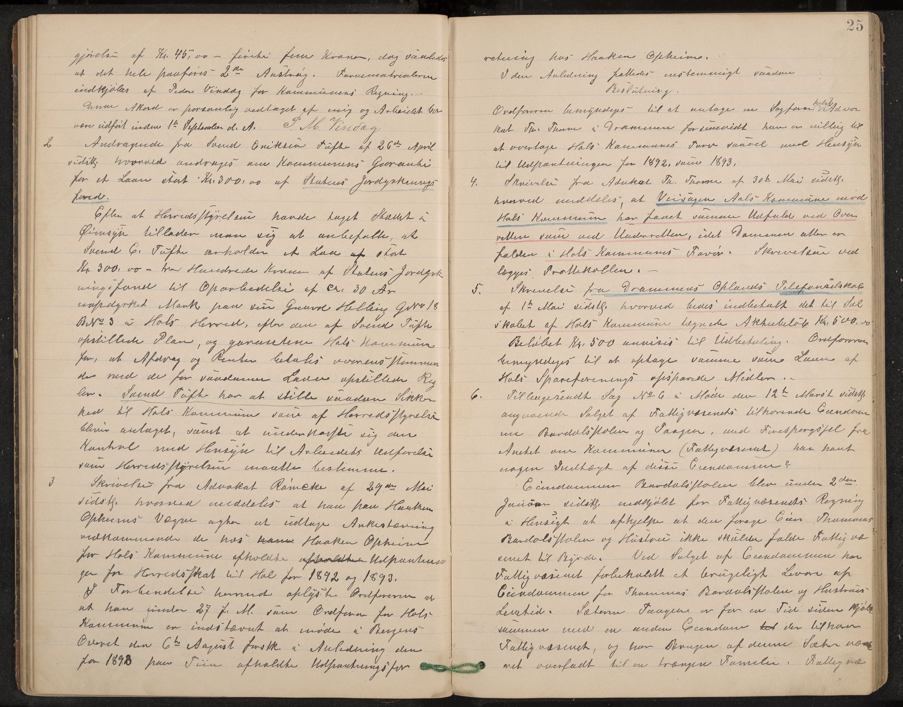 Hol formannskap og sentraladministrasjon, IKAK/0620021-1/A/L0002: Møtebok, 1893-1897, s. 25