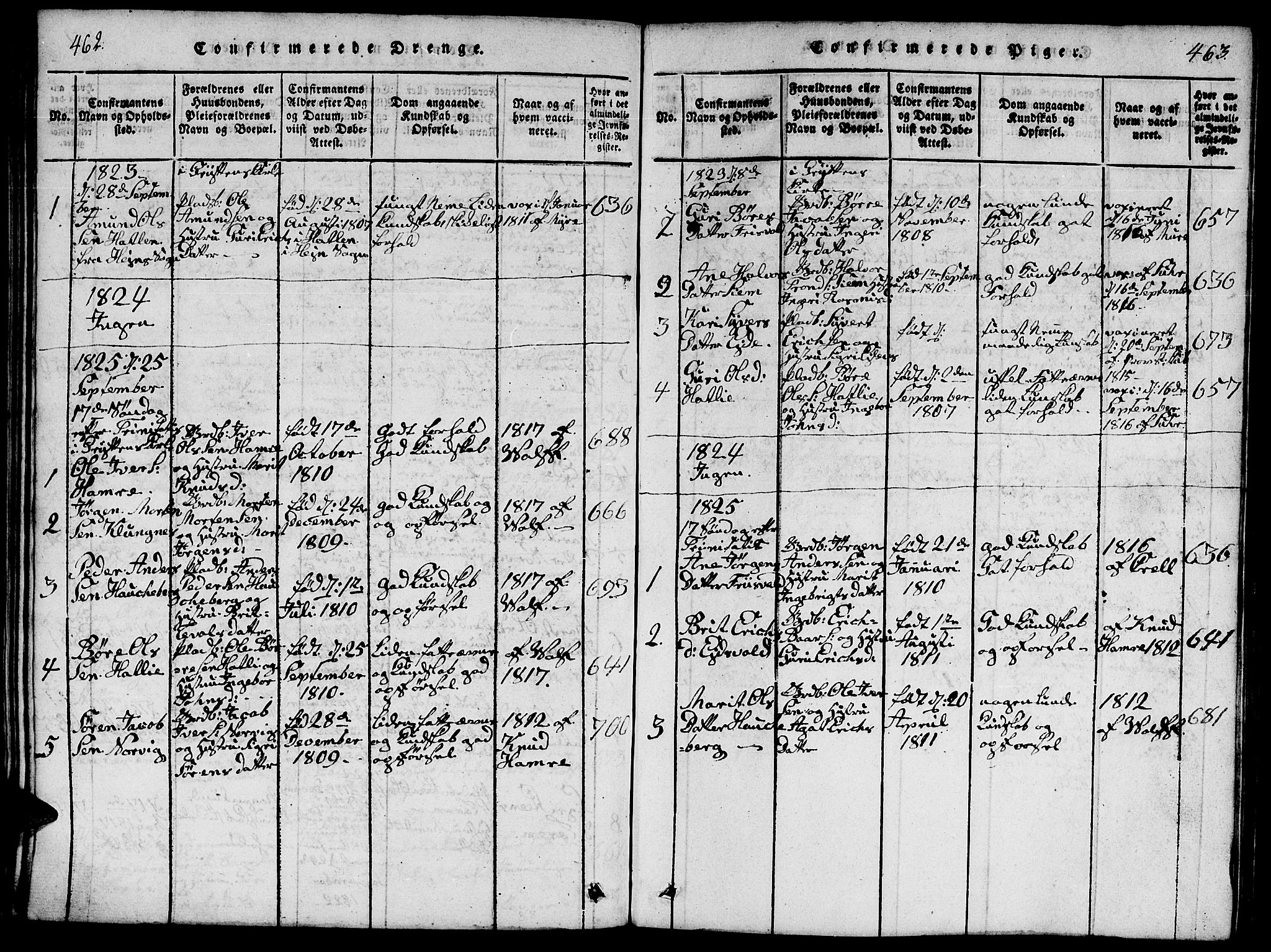 Ministerialprotokoller, klokkerbøker og fødselsregistre - Møre og Romsdal, AV/SAT-A-1454/542/L0558: Klokkerbok nr. 542C01, 1818-1836, s. 462-463