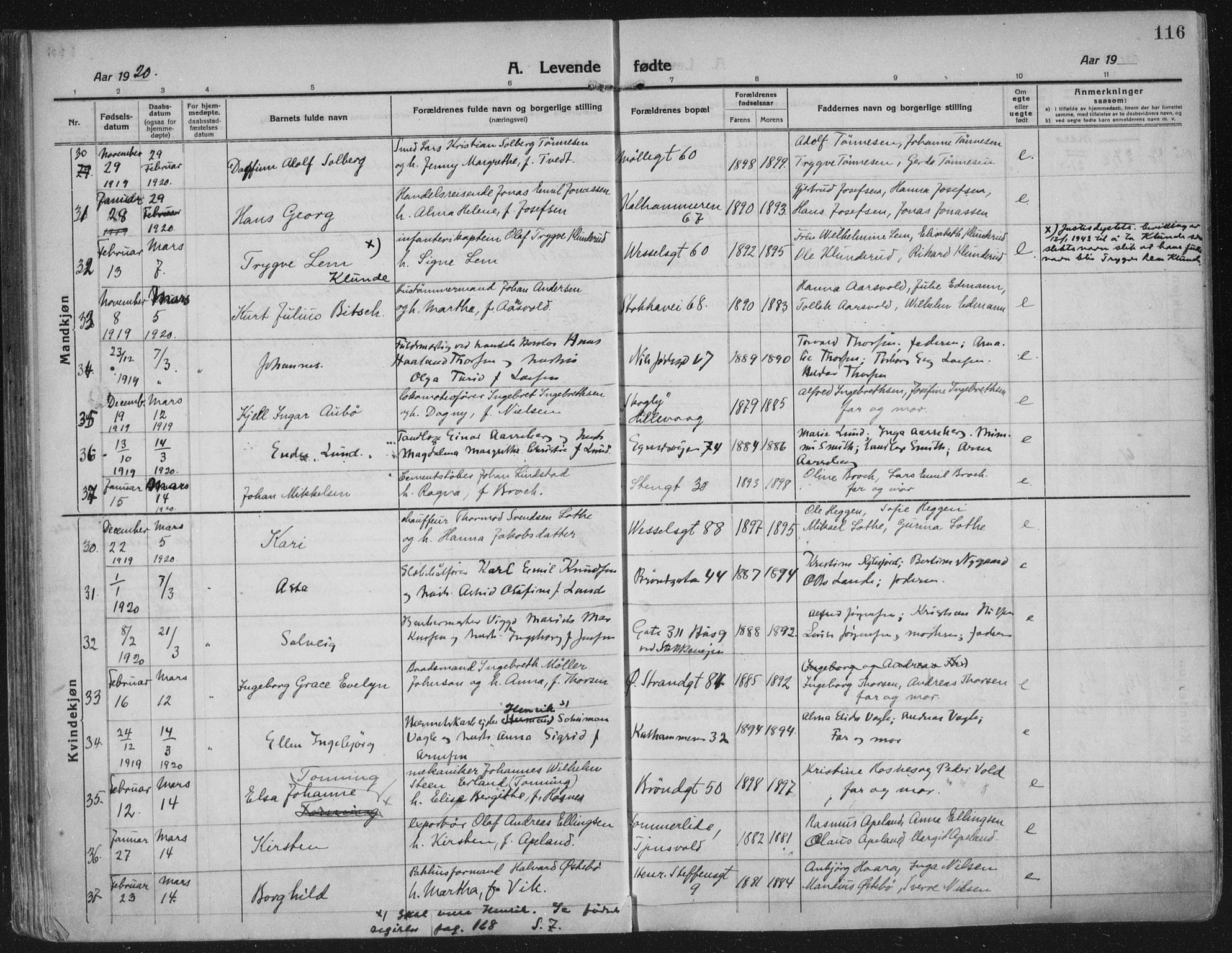 Domkirken sokneprestkontor, AV/SAST-A-101812/002/A/L0018: Ministerialbok nr. A 34, 1915-1929, s. 116