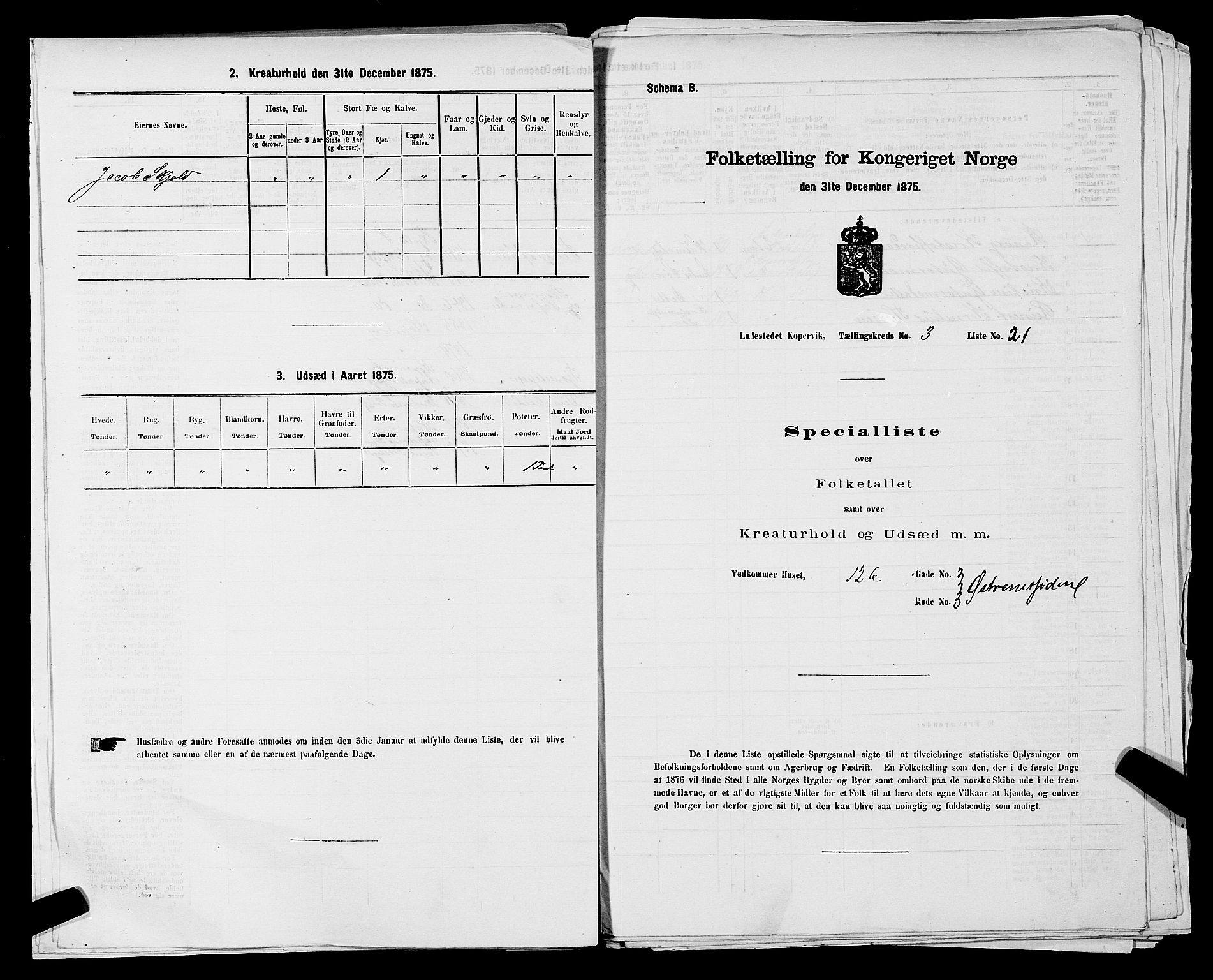 SAST, Folketelling 1875 for 1105B Avaldsnes prestegjeld, Kopervik ladested, 1875, s. 44