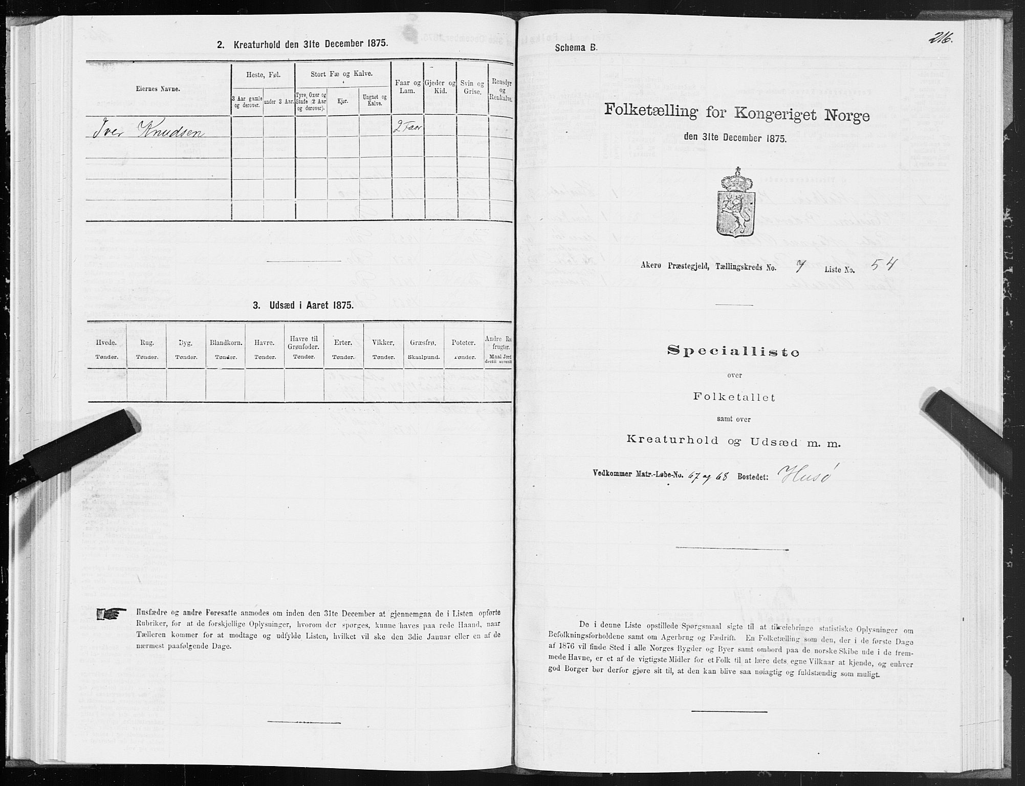 SAT, Folketelling 1875 for 1545P Aukra prestegjeld, 1875, s. 3216