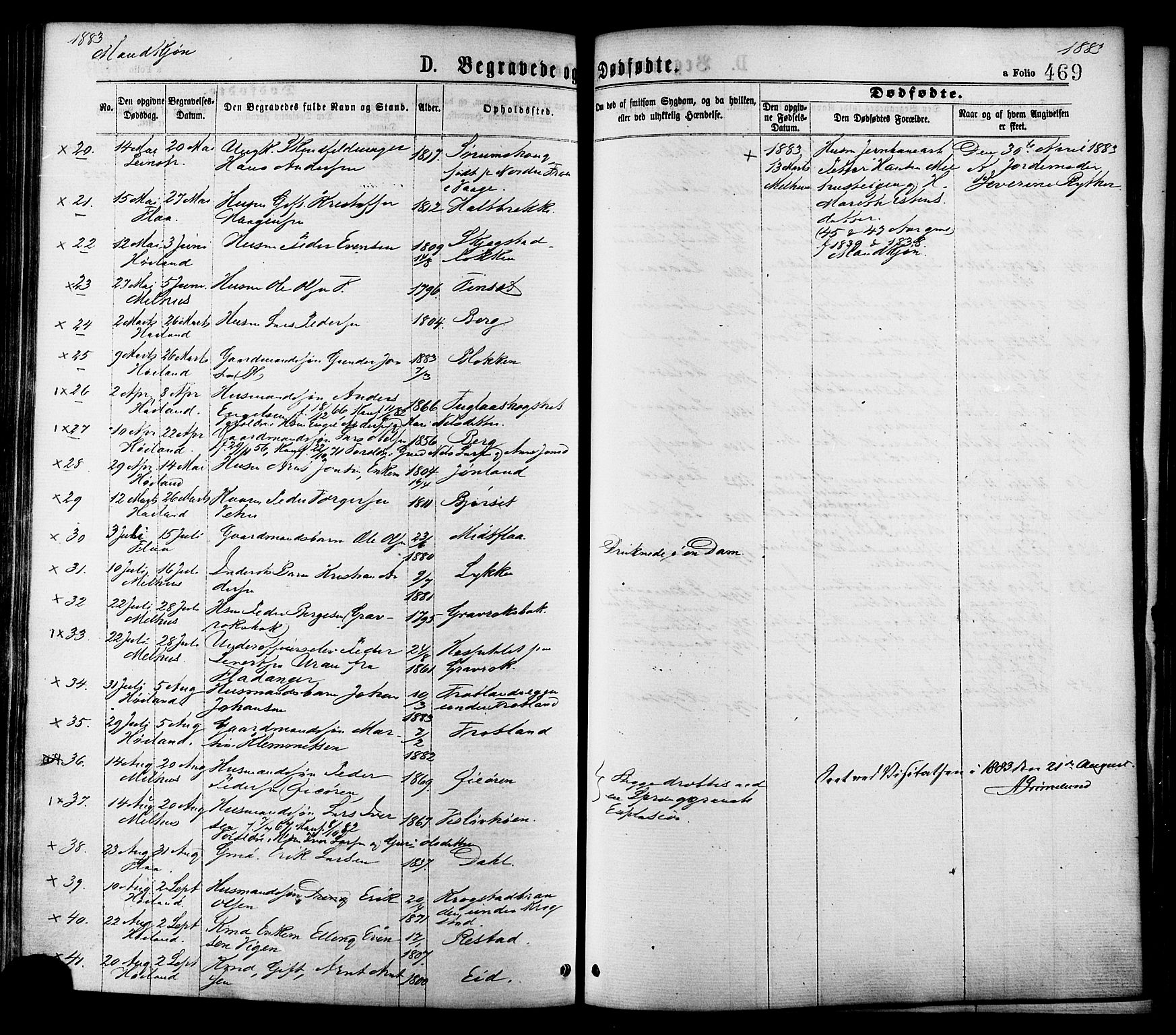 Ministerialprotokoller, klokkerbøker og fødselsregistre - Sør-Trøndelag, AV/SAT-A-1456/691/L1079: Ministerialbok nr. 691A11, 1873-1886, s. 469