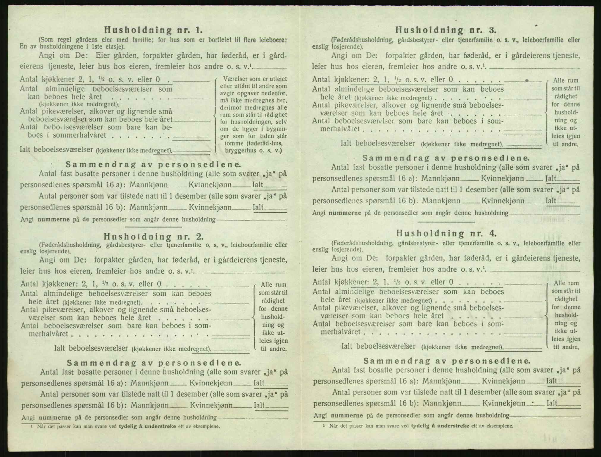 SAK, Folketelling 1920 for 0936 Hornnes herred, 1920, s. 388