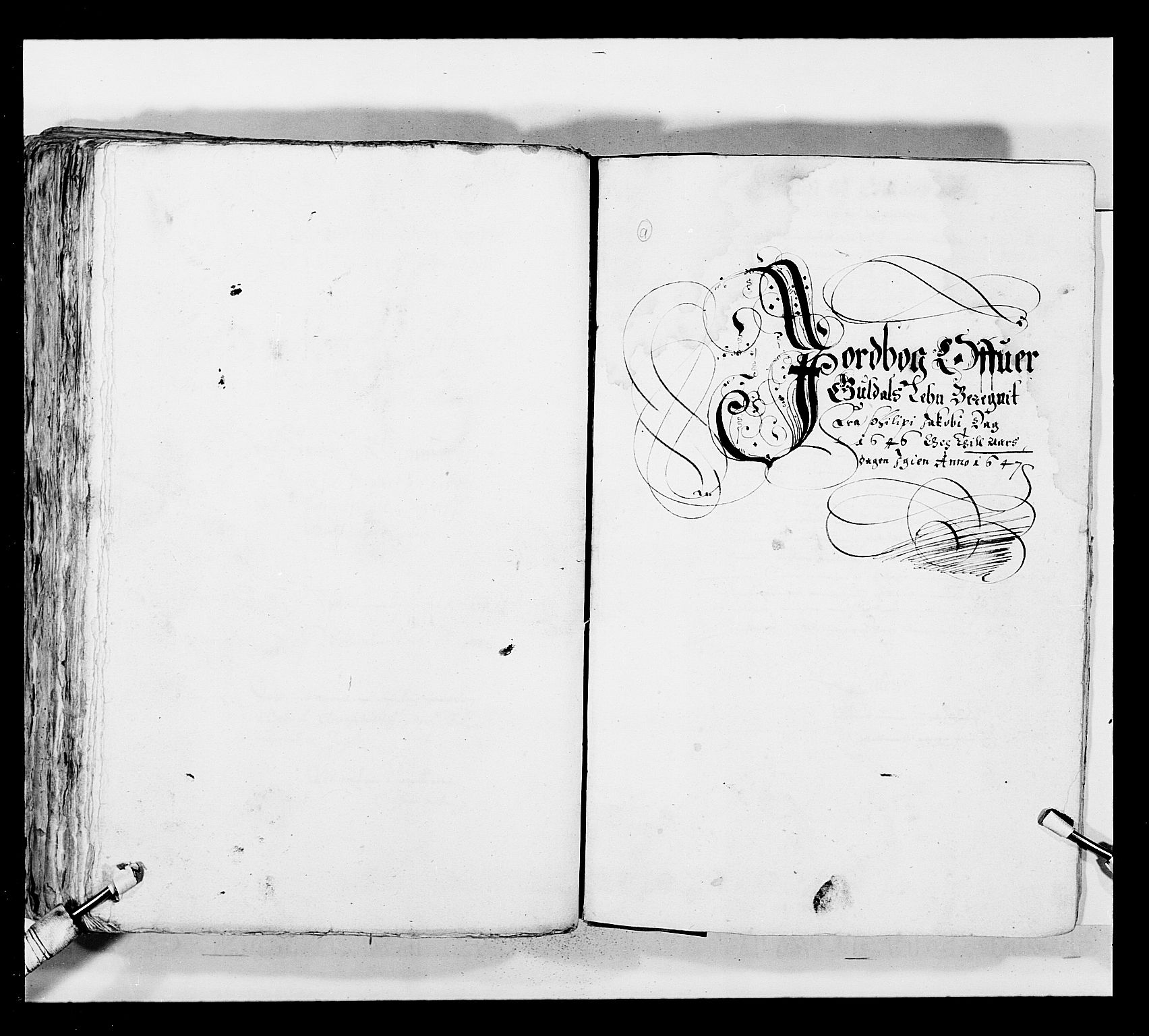 Stattholderembetet 1572-1771, AV/RA-EA-2870/Ek/L0029/0001: Jordebøker 1633-1658: / Jordebøker for Trondheim len, 1646-1647, s. 227