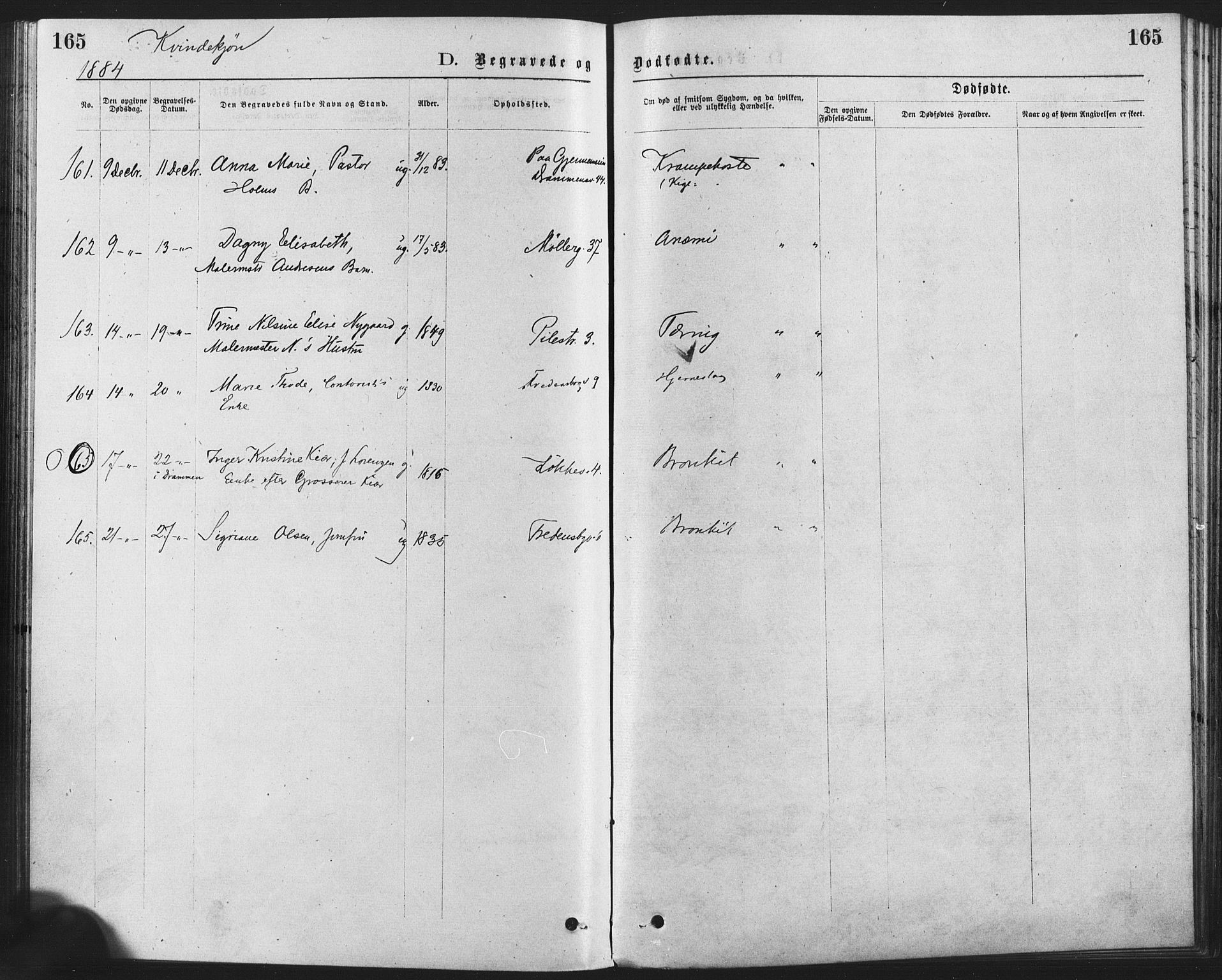 Trefoldighet prestekontor Kirkebøker, AV/SAO-A-10882/F/Fd/L0002: Ministerialbok nr. IV 2, 1877-1885, s. 165