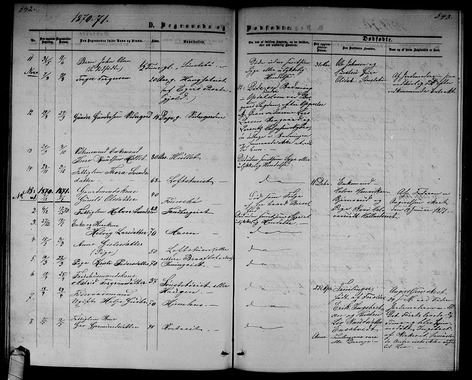 Nore kirkebøker, AV/SAKO-A-238/G/Gb/L0001: Klokkerbok nr. II 1, 1862-1877, s. 542-543