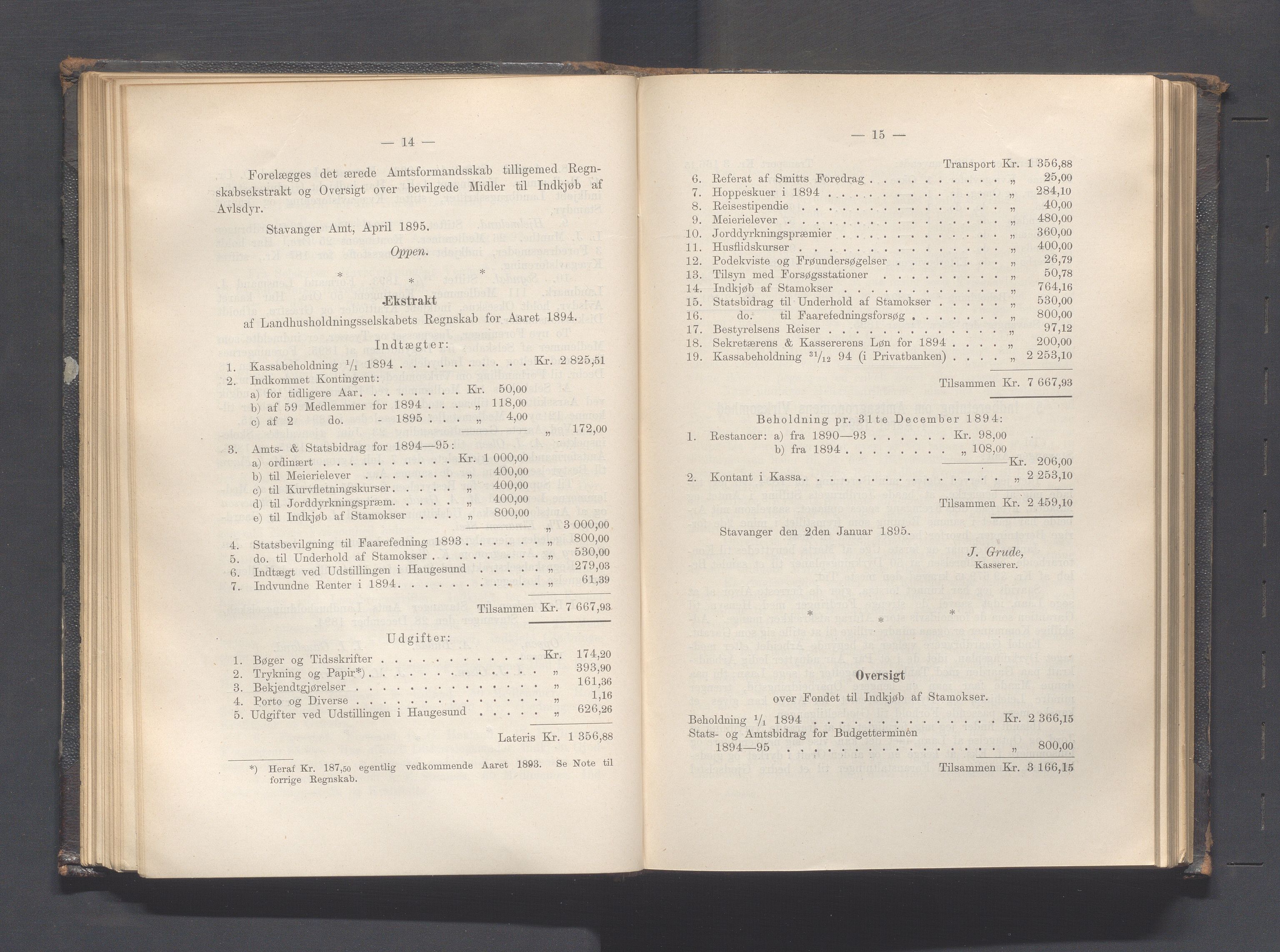 Rogaland fylkeskommune - Fylkesrådmannen , IKAR/A-900/A, 1895, s. 81