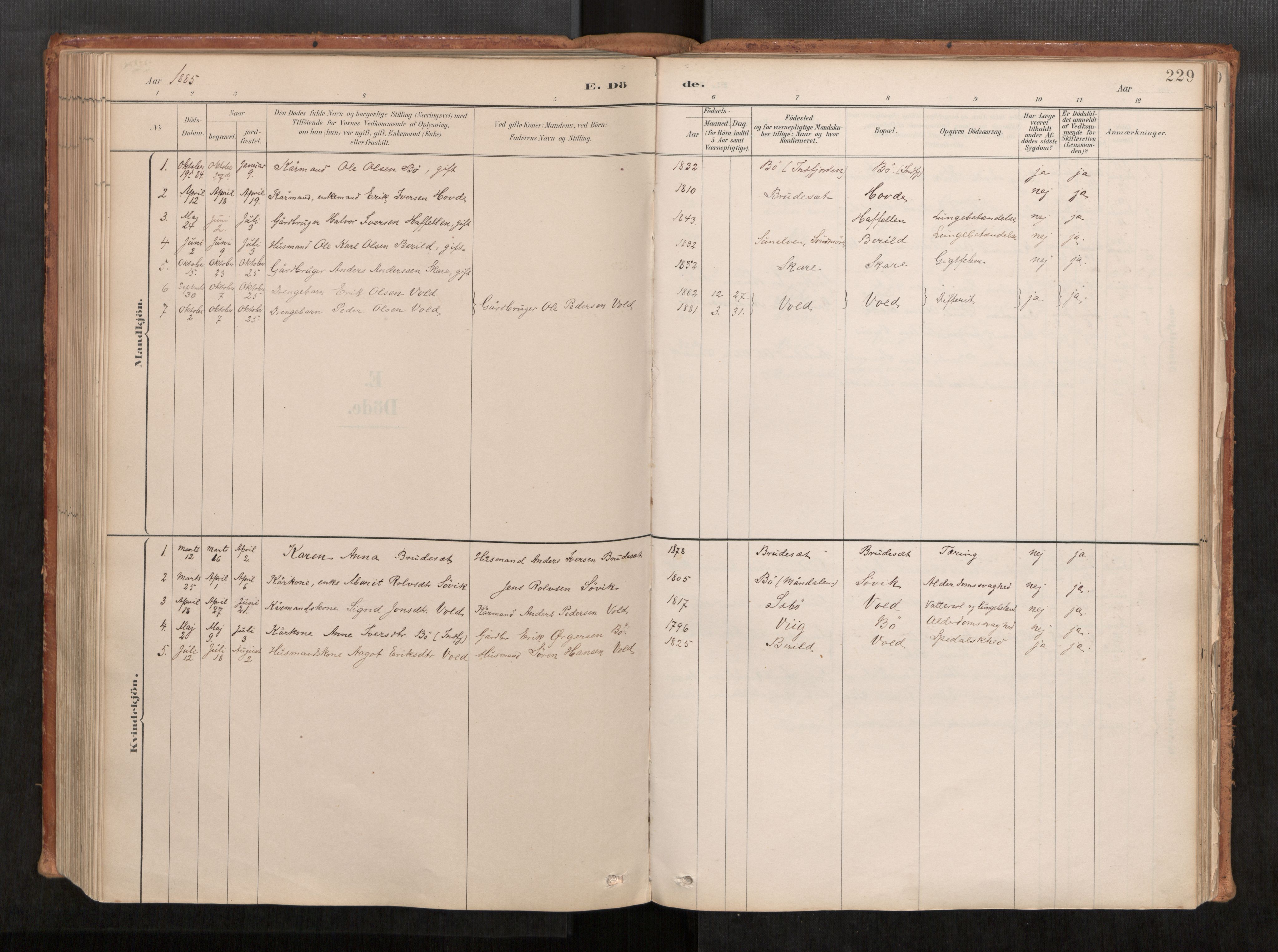 Ministerialprotokoller, klokkerbøker og fødselsregistre - Møre og Romsdal, SAT/A-1454/543/L0568: Ministerialbok nr. 543A03, 1885-1915, s. 229