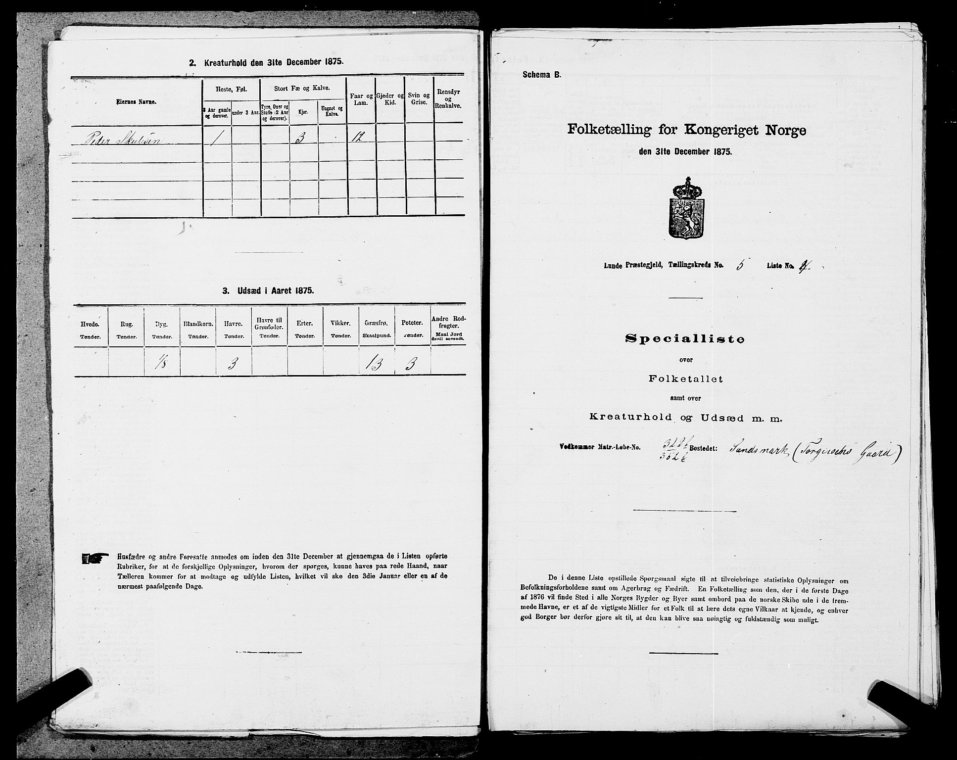 SAST, Folketelling 1875 for 1112P Lund prestegjeld, 1875, s. 843