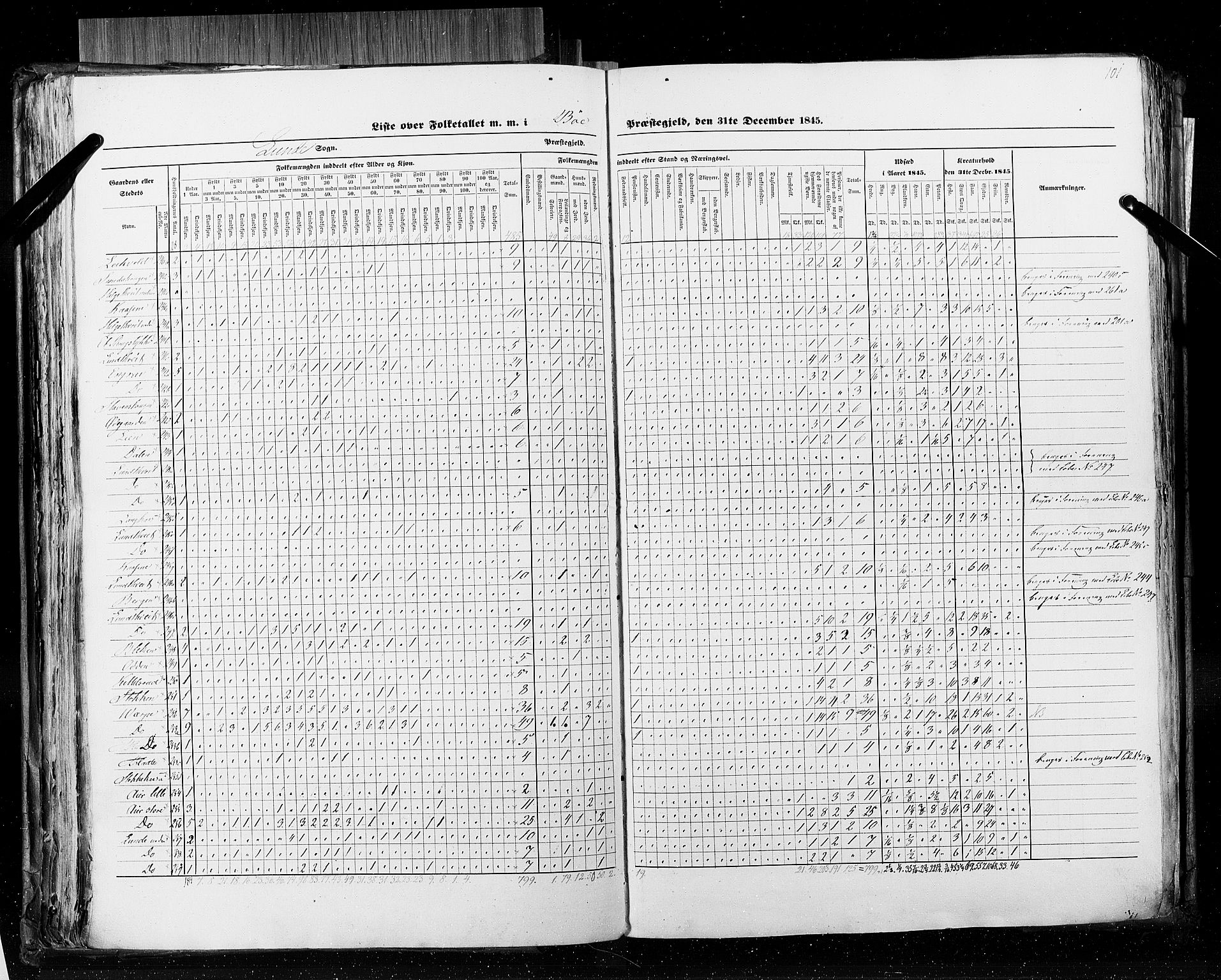 RA, Folketellingen 1845, bind 5: Bratsberg amt og Nedenes og Råbyggelaget amt, 1845, s. 101