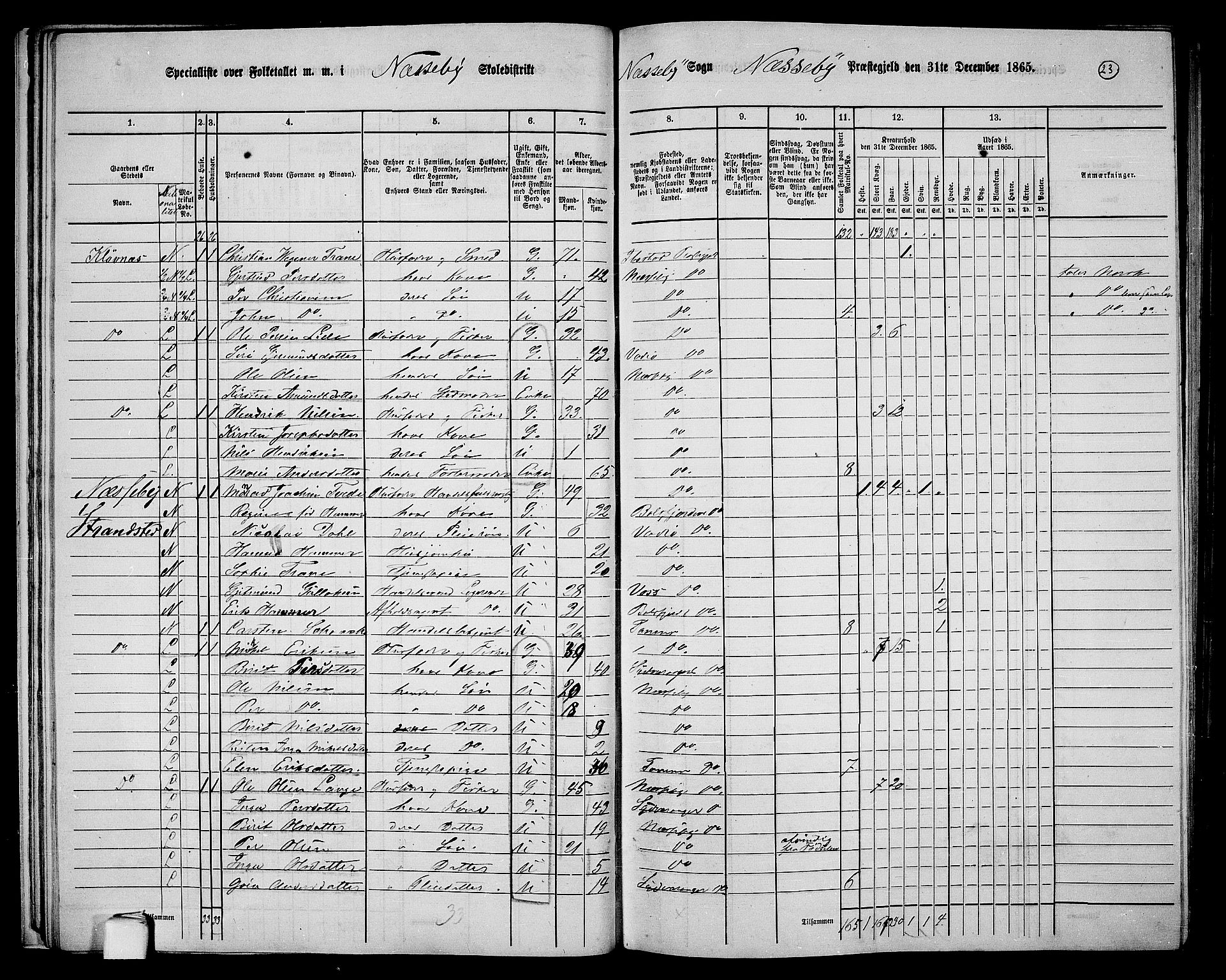 RA, Folketelling 1865 for 2027P Nesseby prestegjeld, 1865, s. 19