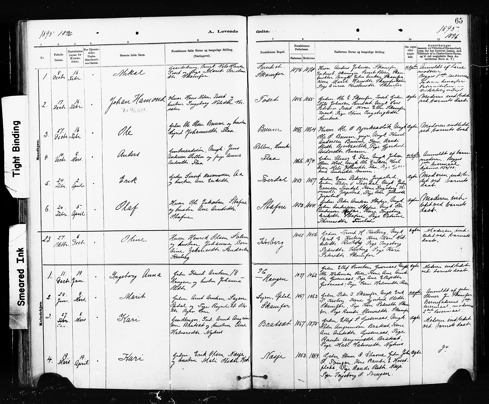 Ministerialprotokoller, klokkerbøker og fødselsregistre - Sør-Trøndelag, SAT/A-1456/674/L0871: Ministerialbok nr. 674A03, 1880-1896, s. 65