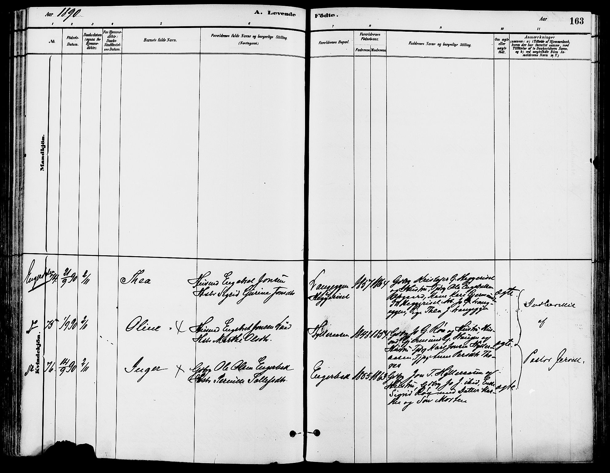 Trysil prestekontor, AV/SAH-PREST-046/H/Ha/Haa/L0008: Ministerialbok nr. 8, 1881-1897, s. 163