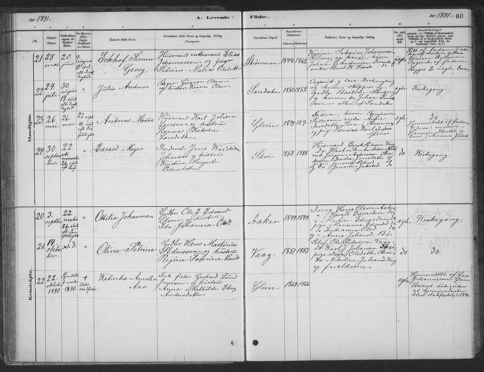 Ministerialprotokoller, klokkerbøker og fødselsregistre - Nordland, AV/SAT-A-1459/835/L0532: Klokkerbok nr. 835C04, 1880-1905, s. 60