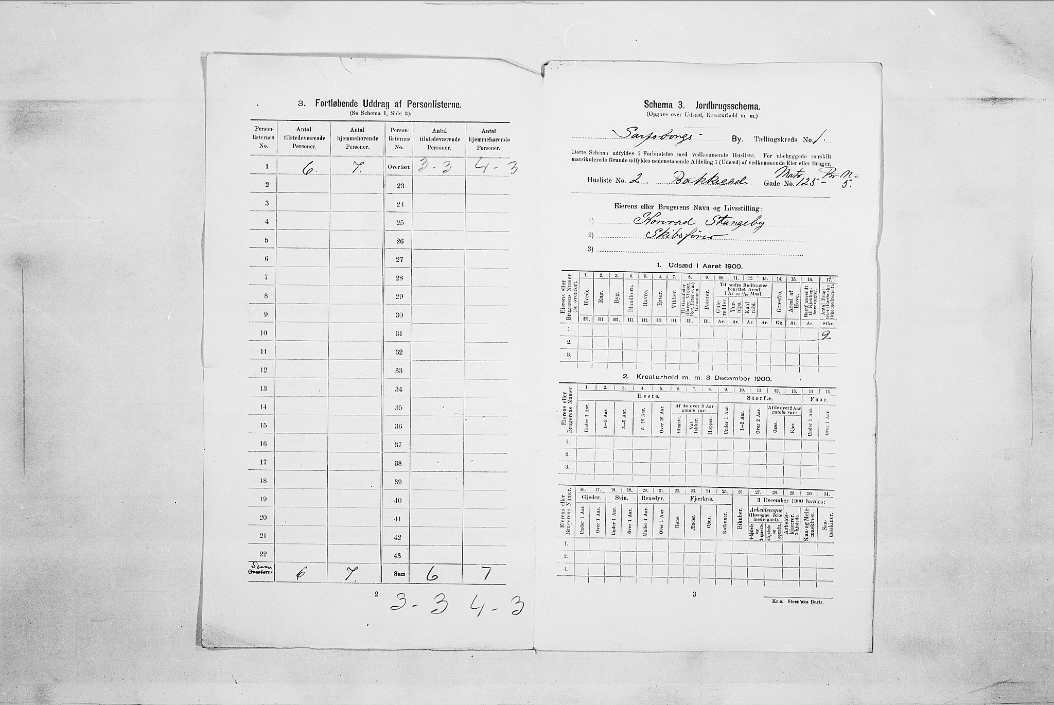 SAO, Folketelling 1900 for 0102 Sarpsborg kjøpstad, 1900