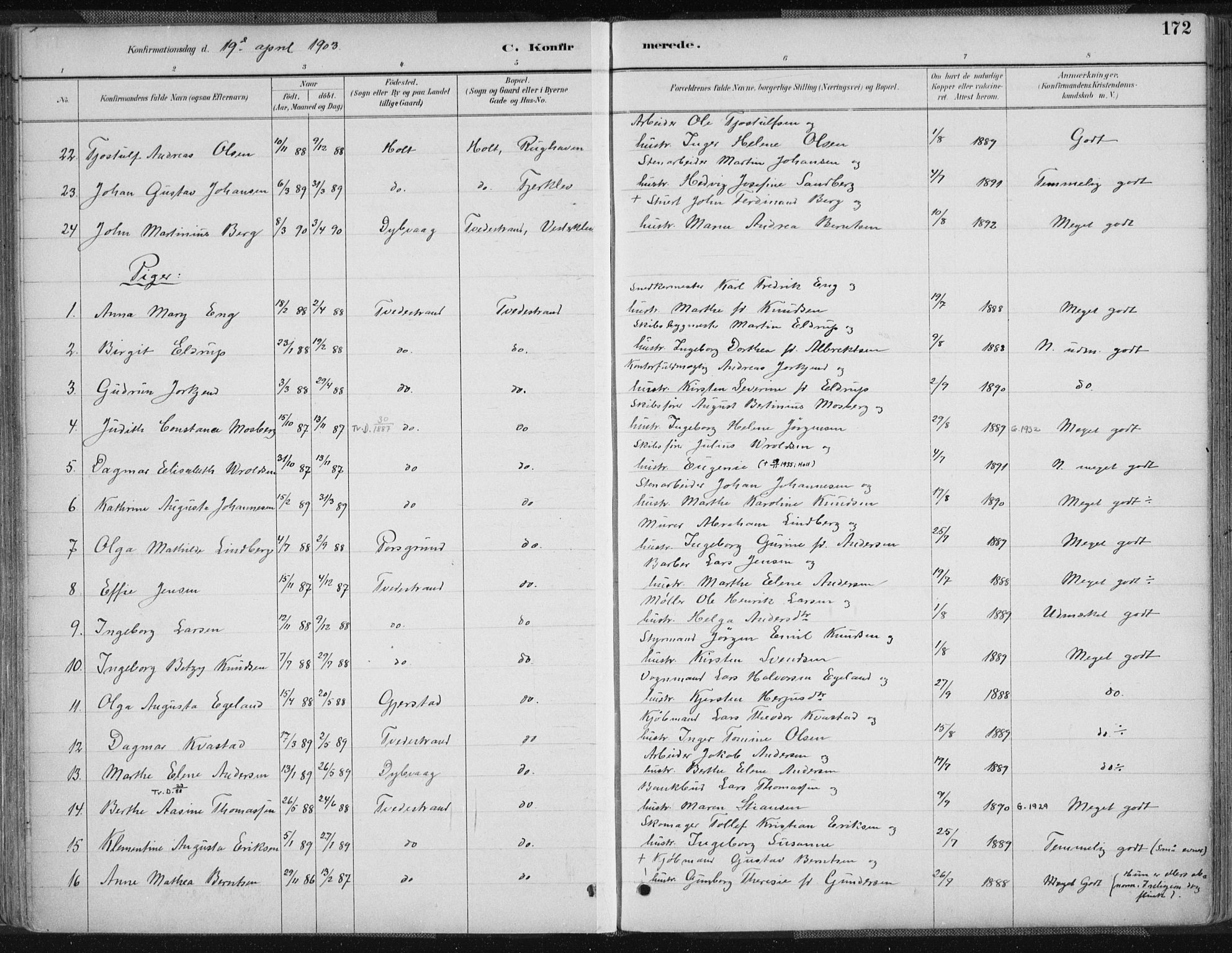 Tvedestrand sokneprestkontor, AV/SAK-1111-0042/F/Fa/L0001: Ministerialbok nr. A 1, 1885-1916, s. 172