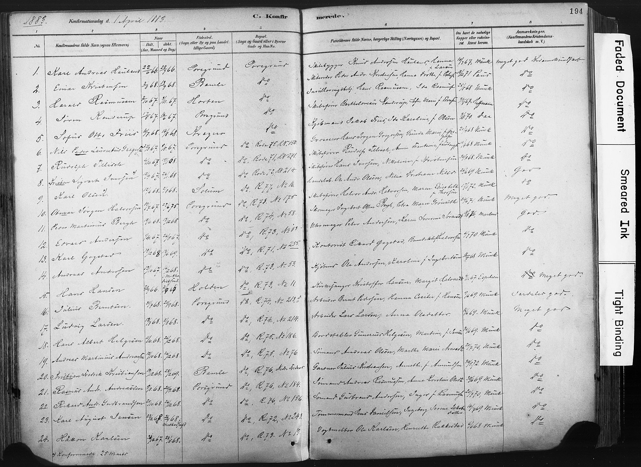 Porsgrunn kirkebøker , AV/SAKO-A-104/F/Fa/L0008: Ministerialbok nr. 8, 1878-1895, s. 194