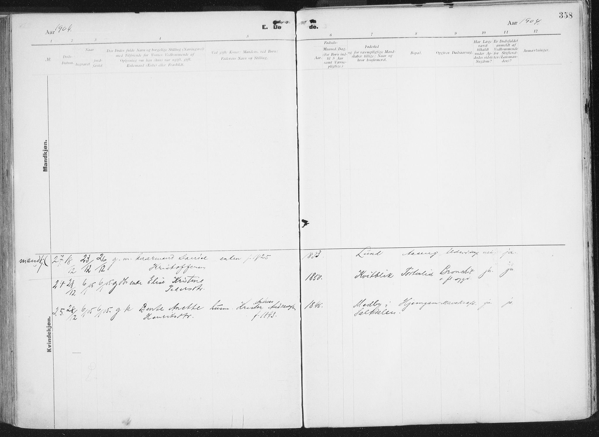 Ministerialprotokoller, klokkerbøker og fødselsregistre - Nordland, AV/SAT-A-1459/849/L0696: Ministerialbok nr. 849A08, 1898-1910, s. 358