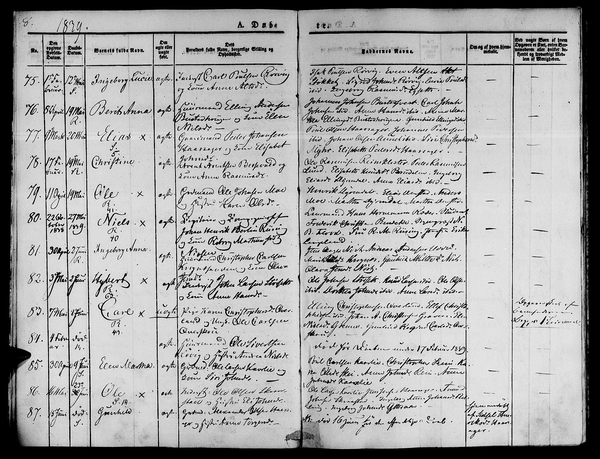 Ministerialprotokoller, klokkerbøker og fødselsregistre - Sør-Trøndelag, SAT/A-1456/646/L0610: Ministerialbok nr. 646A08, 1837-1847, s. 8