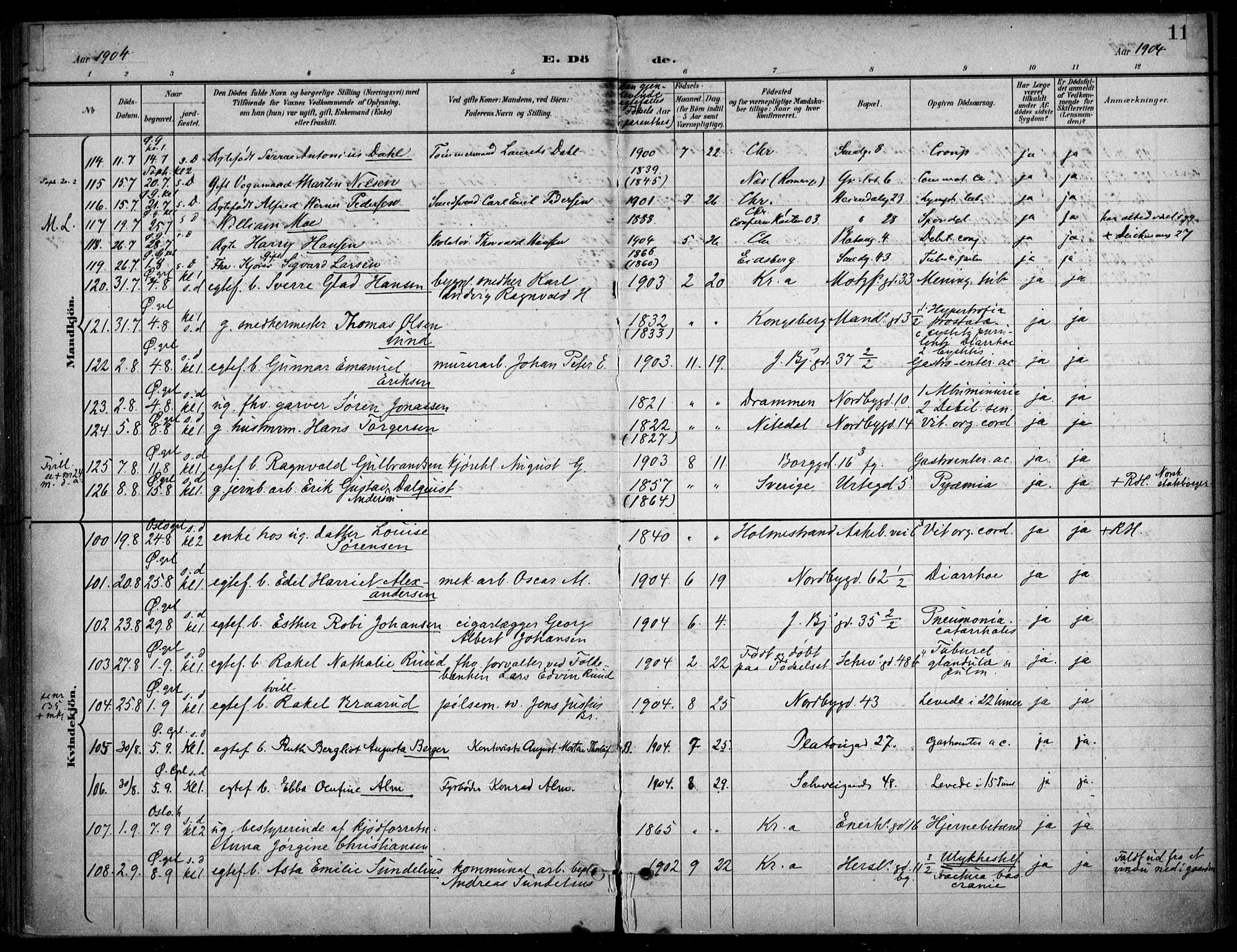 Grønland prestekontor Kirkebøker, AV/SAO-A-10848/F/Fa/L0016: Ministerialbok nr. 16, 1898-1918, s. 119