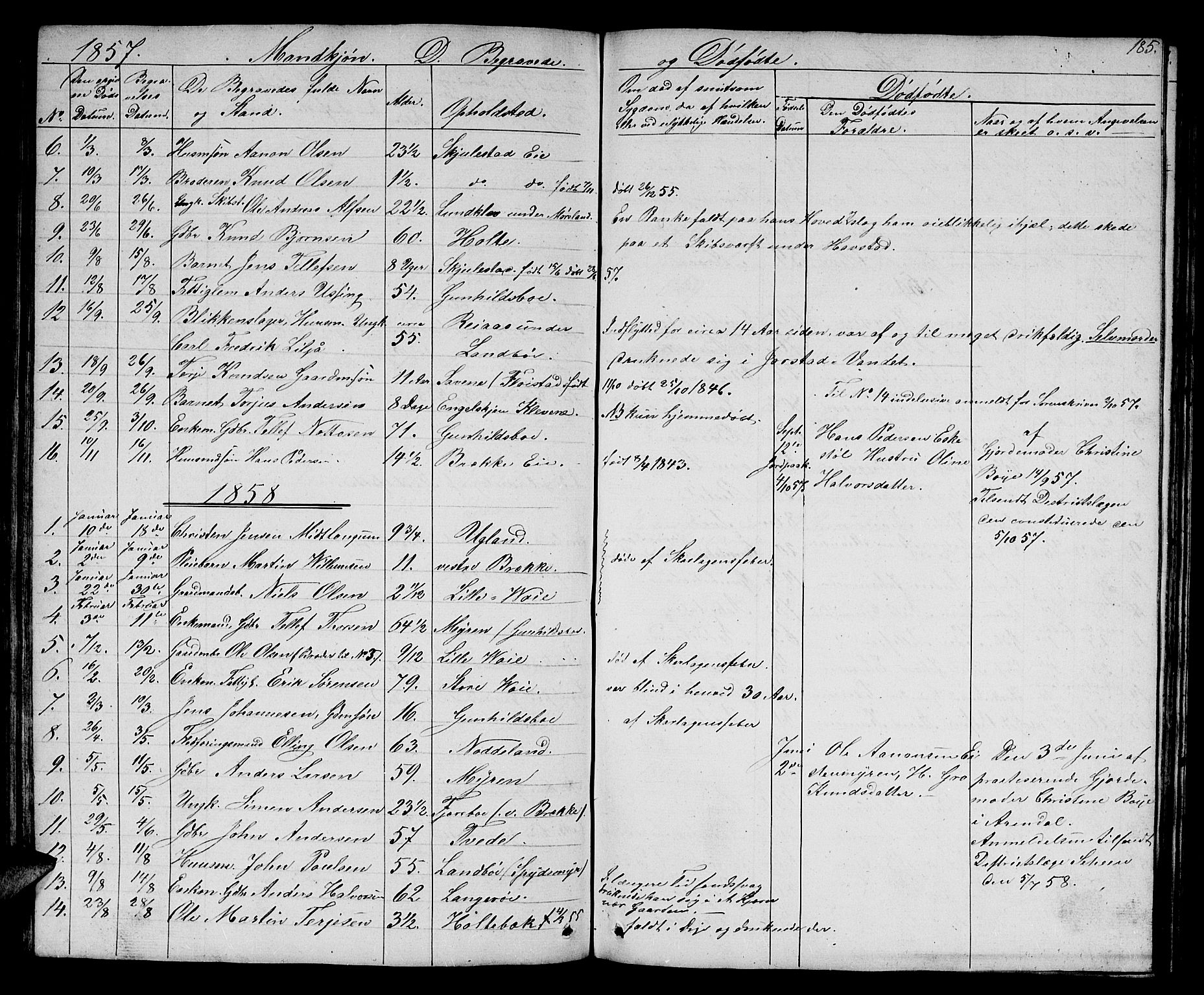 Austre Moland sokneprestkontor, SAK/1111-0001/F/Fb/Fba/L0001: Klokkerbok nr. B 1, 1842-1868, s. 185