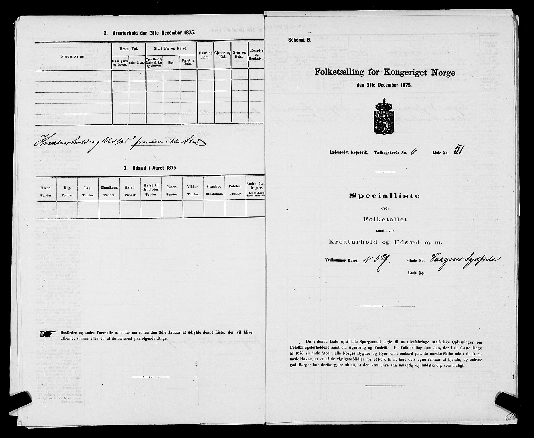 SAST, Folketelling 1875 for 1105B Avaldsnes prestegjeld, Kopervik ladested, 1875, s. 100