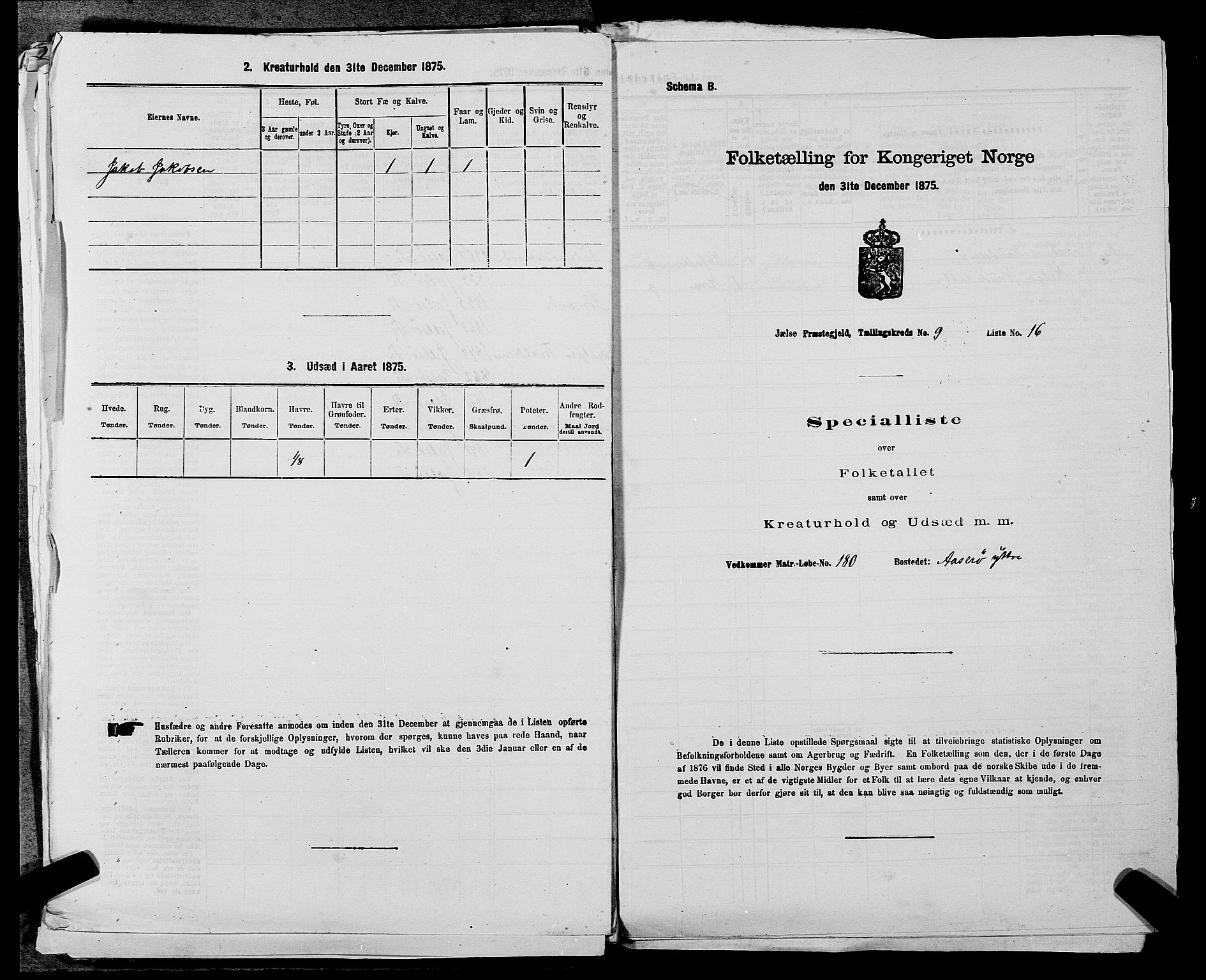 SAST, Folketelling 1875 for 1138P Jelsa prestegjeld, 1875, s. 841