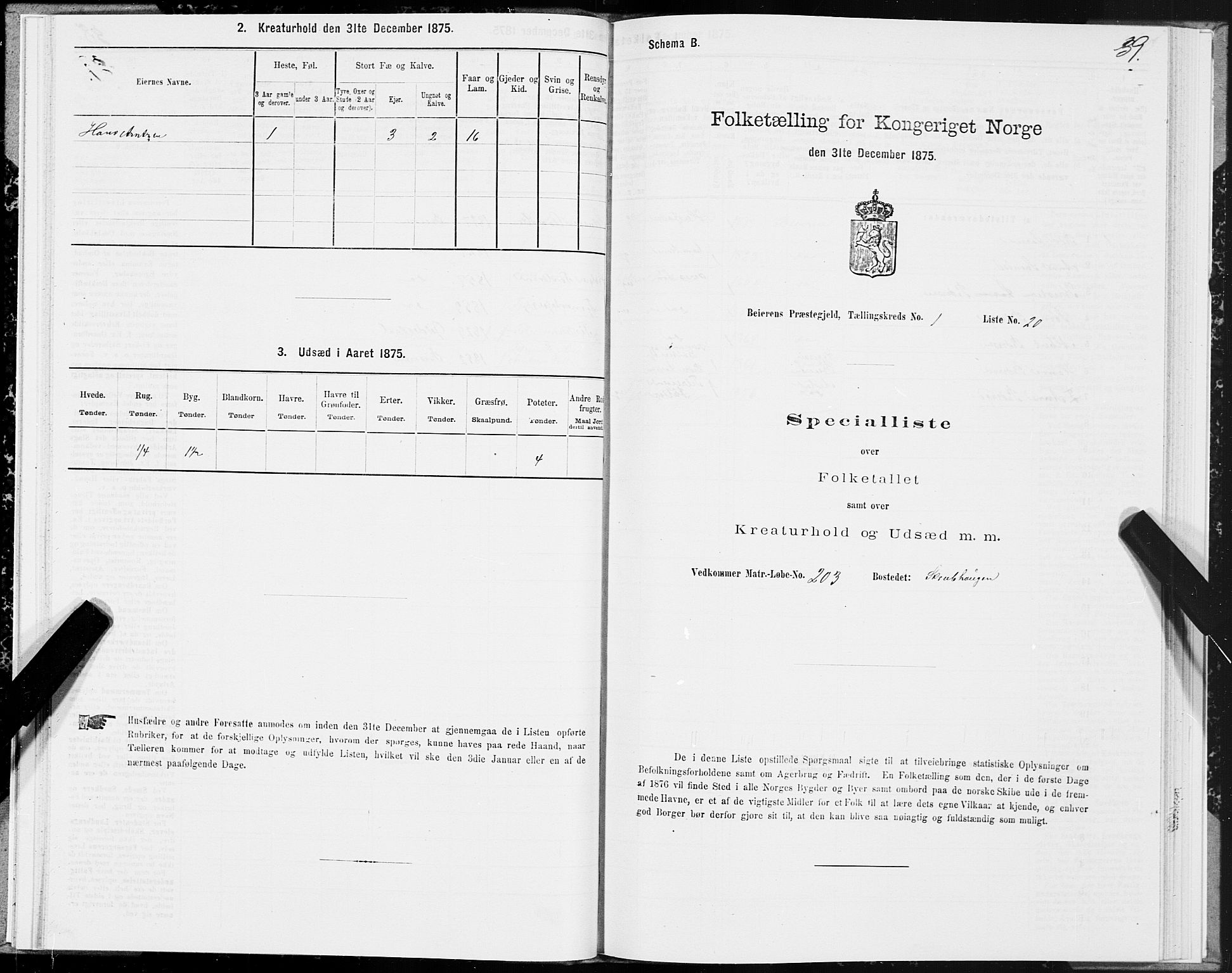 SAT, Folketelling 1875 for 1839P Beiarn prestegjeld, 1875, s. 1039