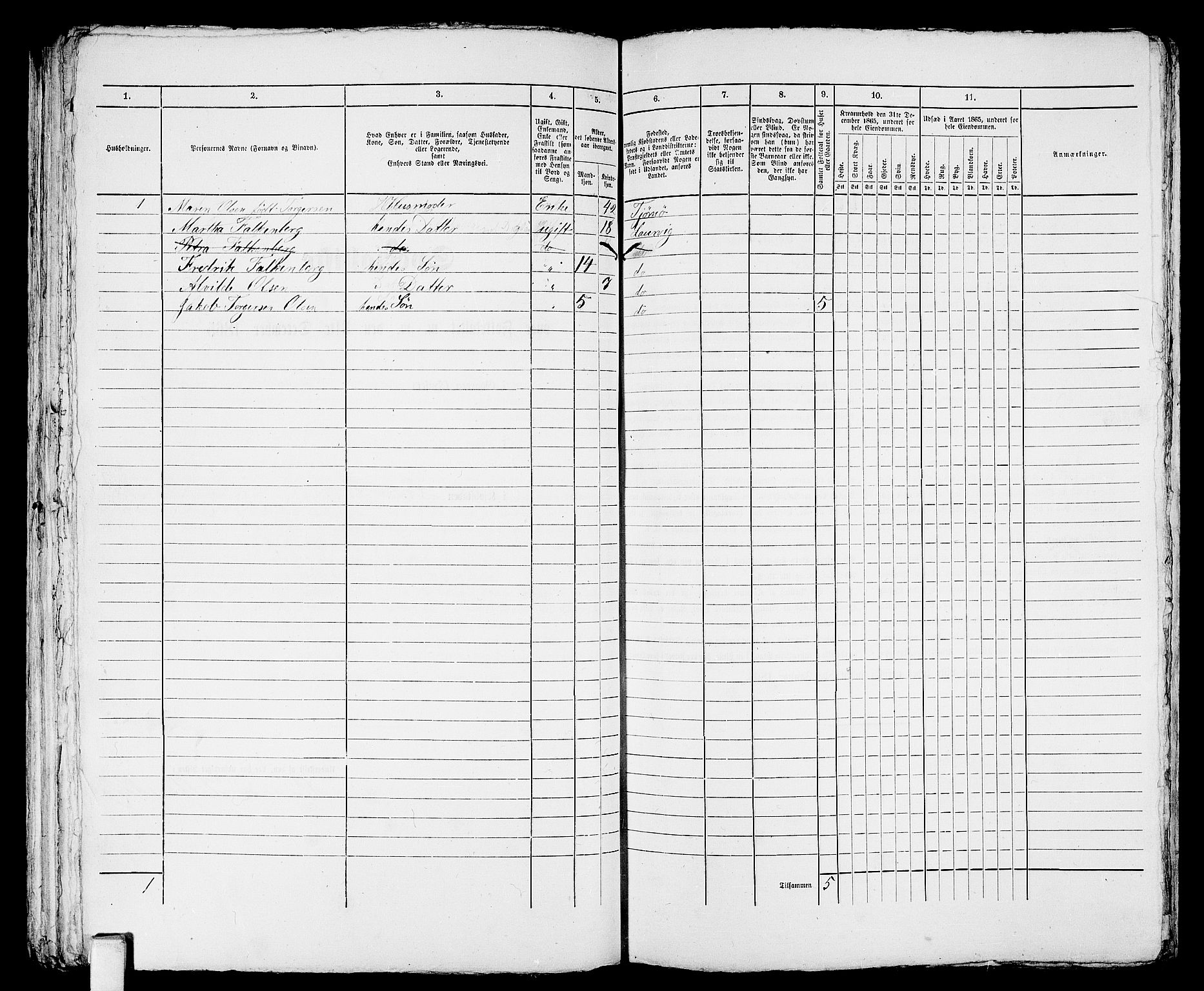 RA, Folketelling 1865 for 0707P Larvik prestegjeld, 1865, s. 799