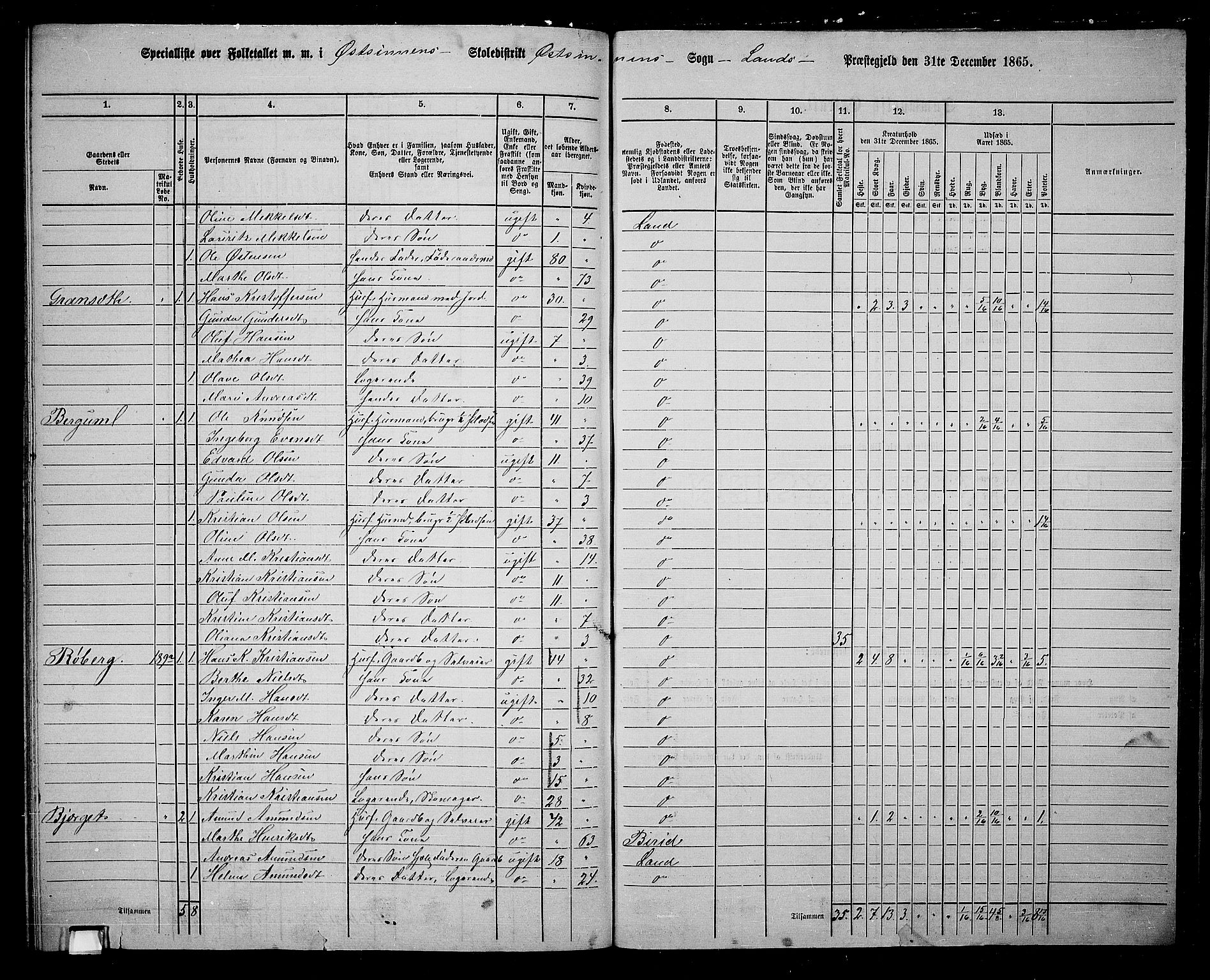 RA, Folketelling 1865 for 0536P Land prestegjeld, 1865, s. 191