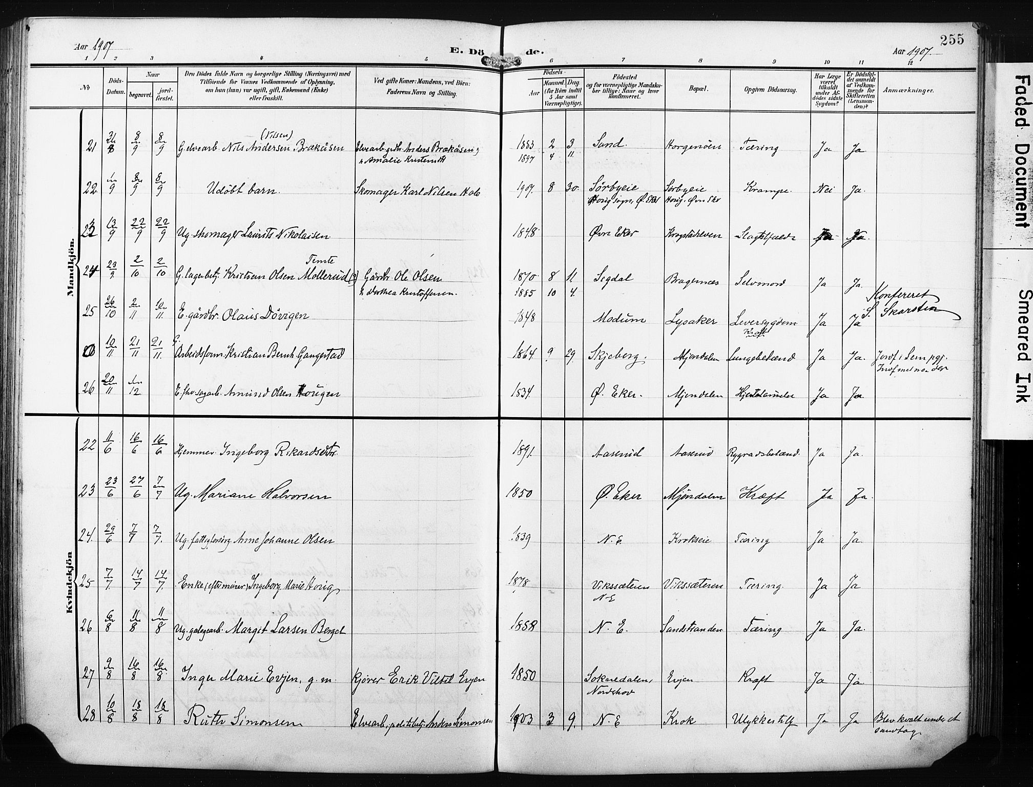 Nedre Eiker kirkebøker, AV/SAKO-A-612/F/Fa/L0006: Ministerialbok nr. 6, 1906-1912, s. 255