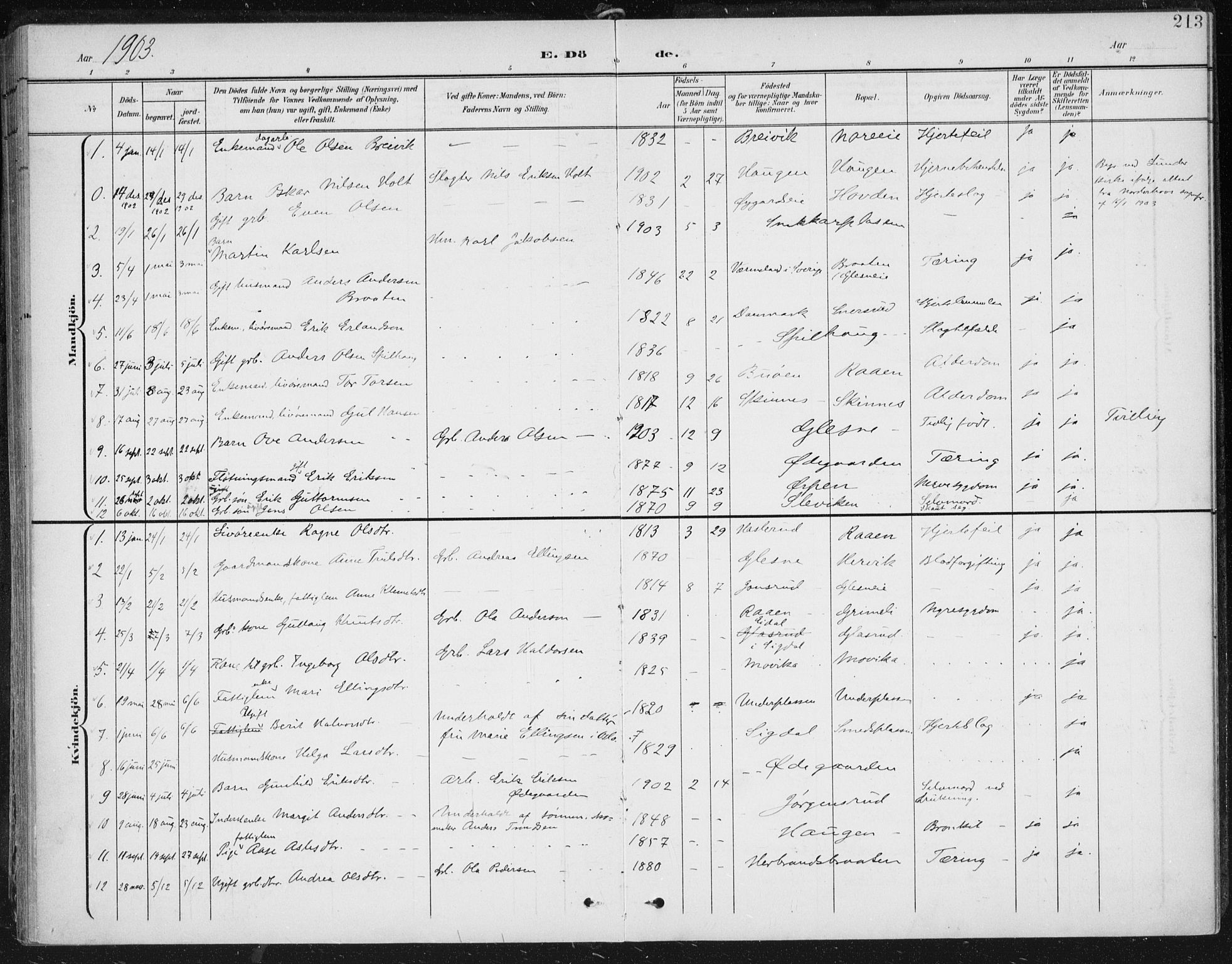 Krødsherad kirkebøker, AV/SAKO-A-19/F/Fa/L0007: Ministerialbok nr. 7, 1900-1915, s. 213