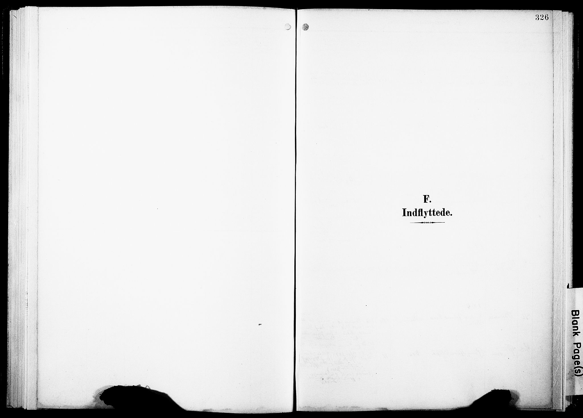 Ministerialprotokoller, klokkerbøker og fødselsregistre - Nordland, SAT/A-1459/891/L1305: Ministerialbok nr. 891A10, 1895-1921, s. 326