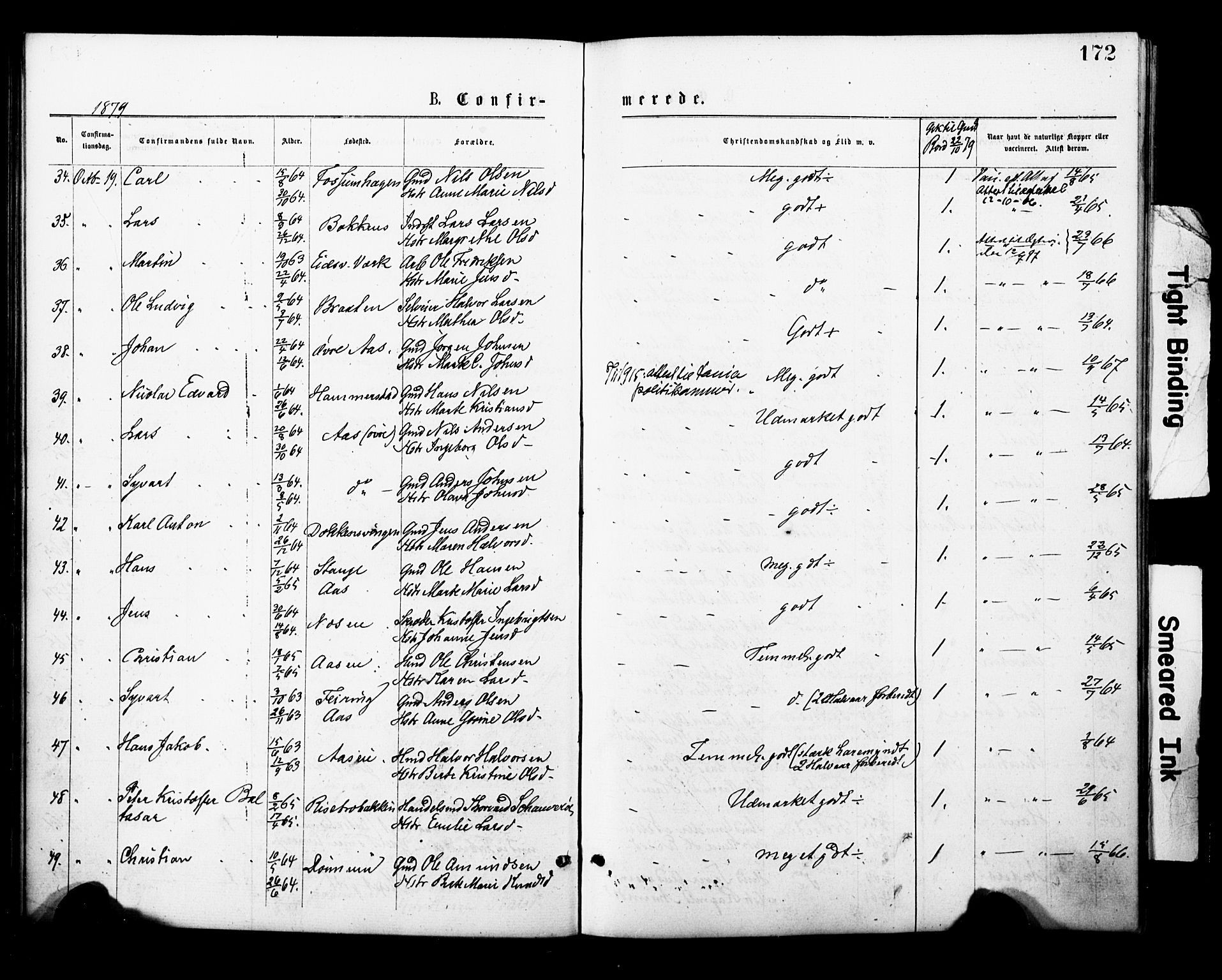 Eidsvoll prestekontor Kirkebøker, AV/SAO-A-10888/F/Fa/L0001: Ministerialbok nr. I 1, 1877-1881, s. 172
