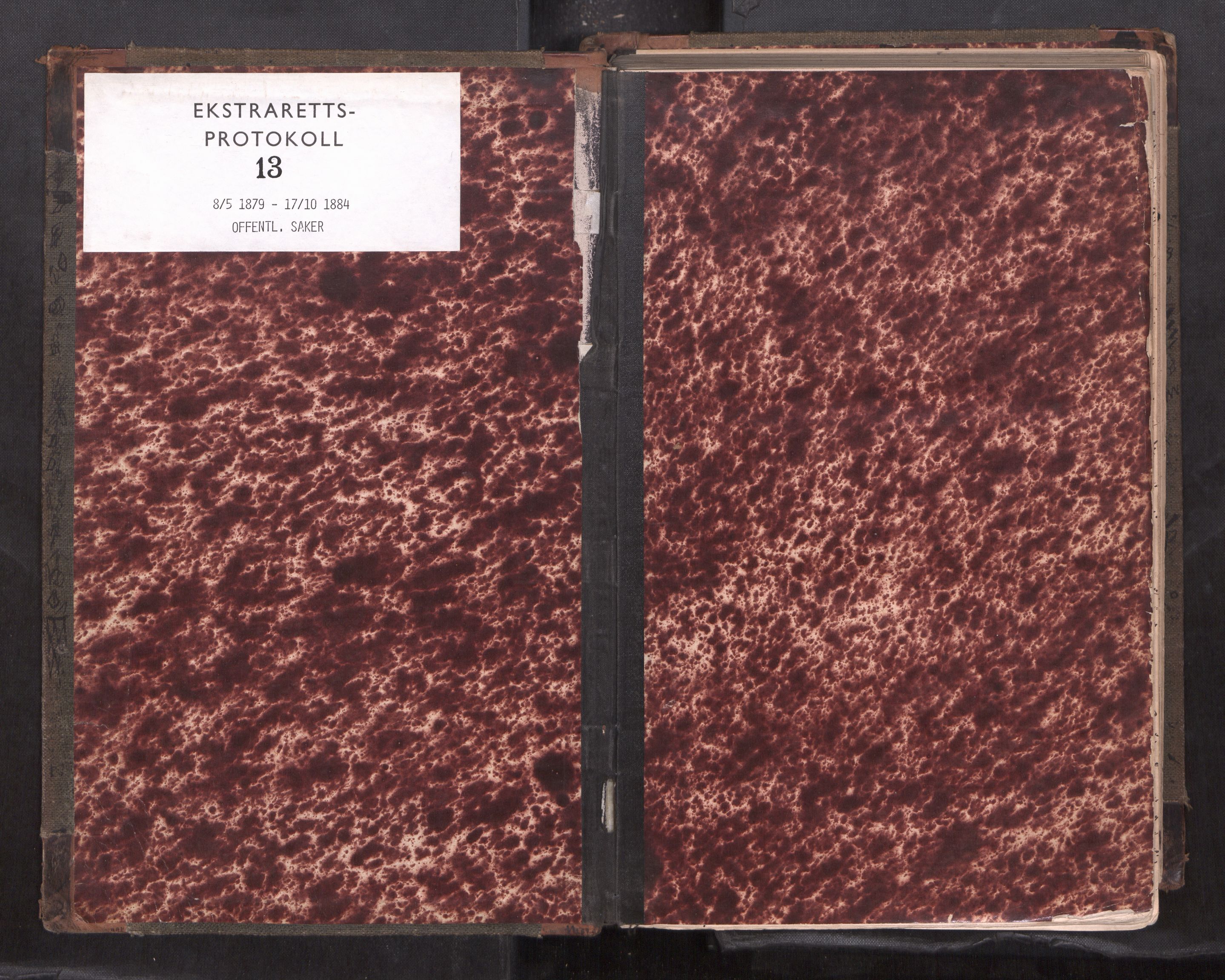 Rana sorenskriveri , SAT/A-1108/1/1/1B/L0013: Ekstrarettsprotokoll, 1879-1884