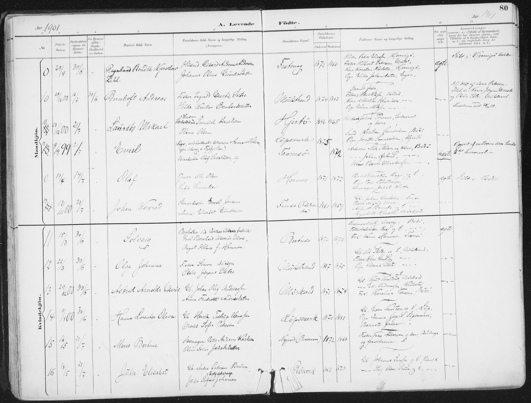 Ministerialprotokoller, klokkerbøker og fødselsregistre - Nordland, AV/SAT-A-1459/802/L0055: Ministerialbok nr. 802A02, 1894-1915, s. 80