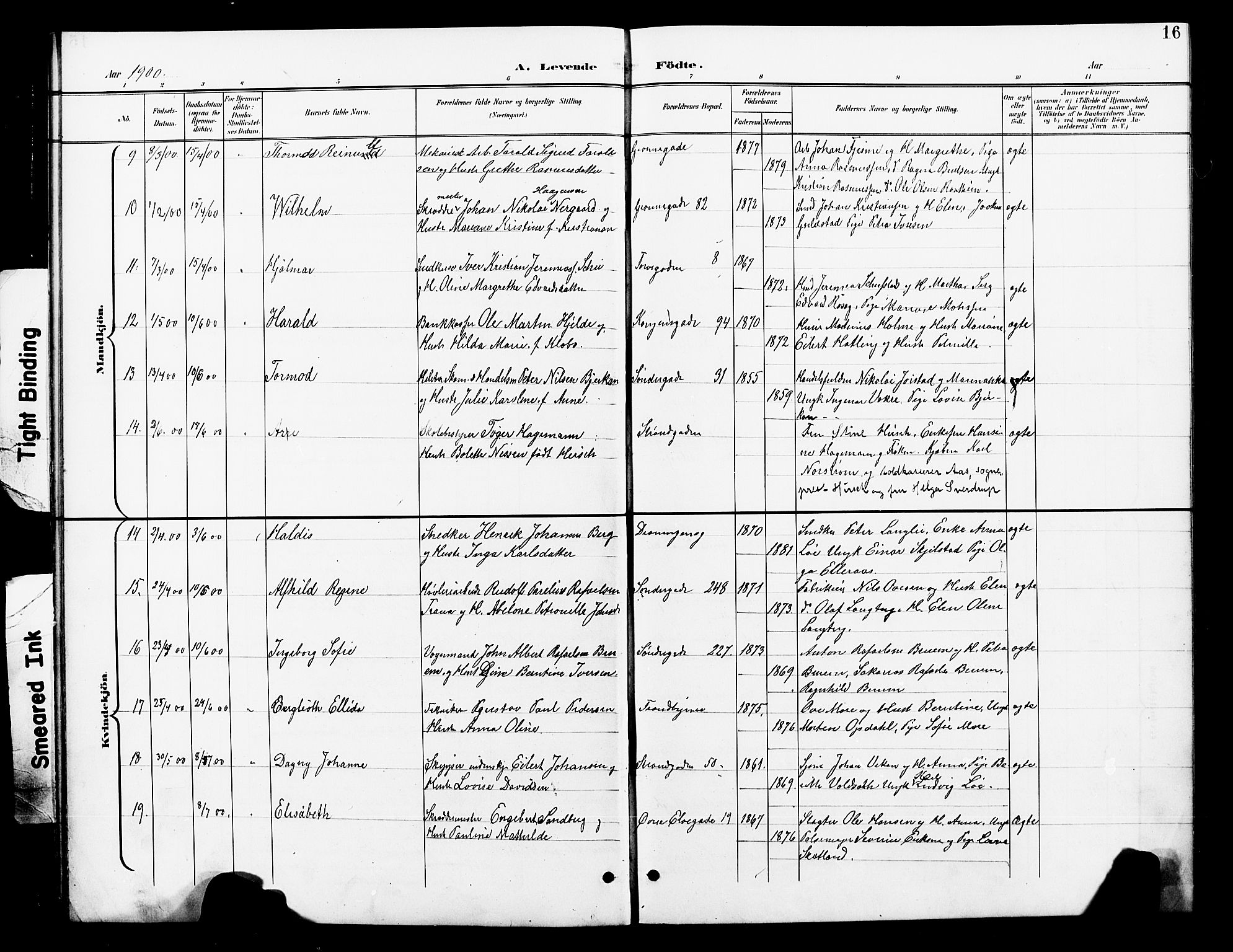 Ministerialprotokoller, klokkerbøker og fødselsregistre - Nord-Trøndelag, AV/SAT-A-1458/739/L0375: Klokkerbok nr. 739C03, 1898-1908, s. 16